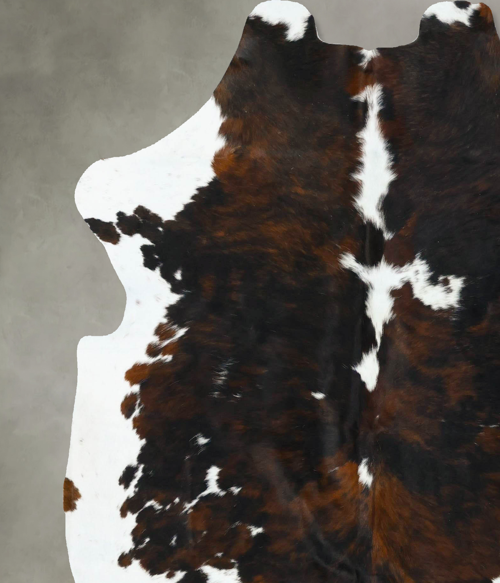 Tricolor Cowhide Rug #B22764