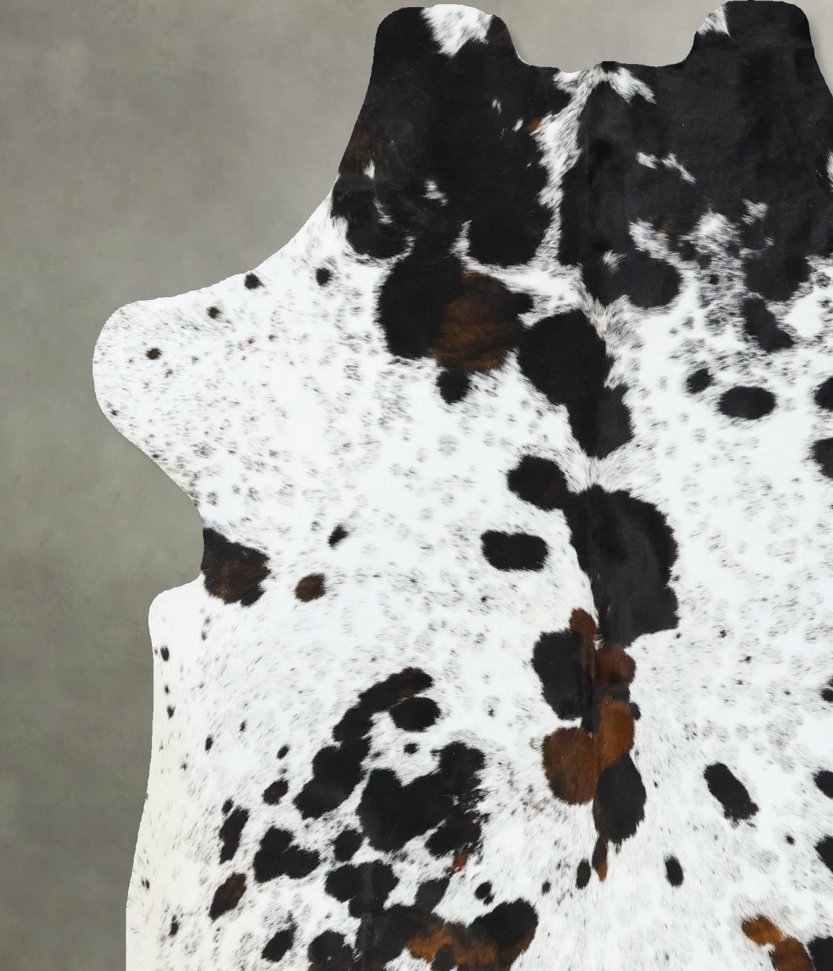 Tricolor X-Large European Cowhide Rug 6'9"H x 6'3"W #B22766 by Hudson Hides