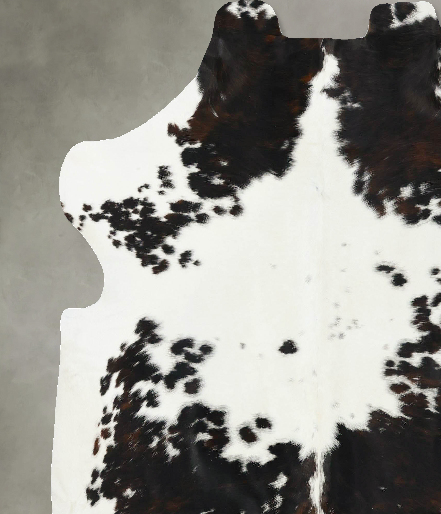 Tricolor Cowhide Rug #B22770