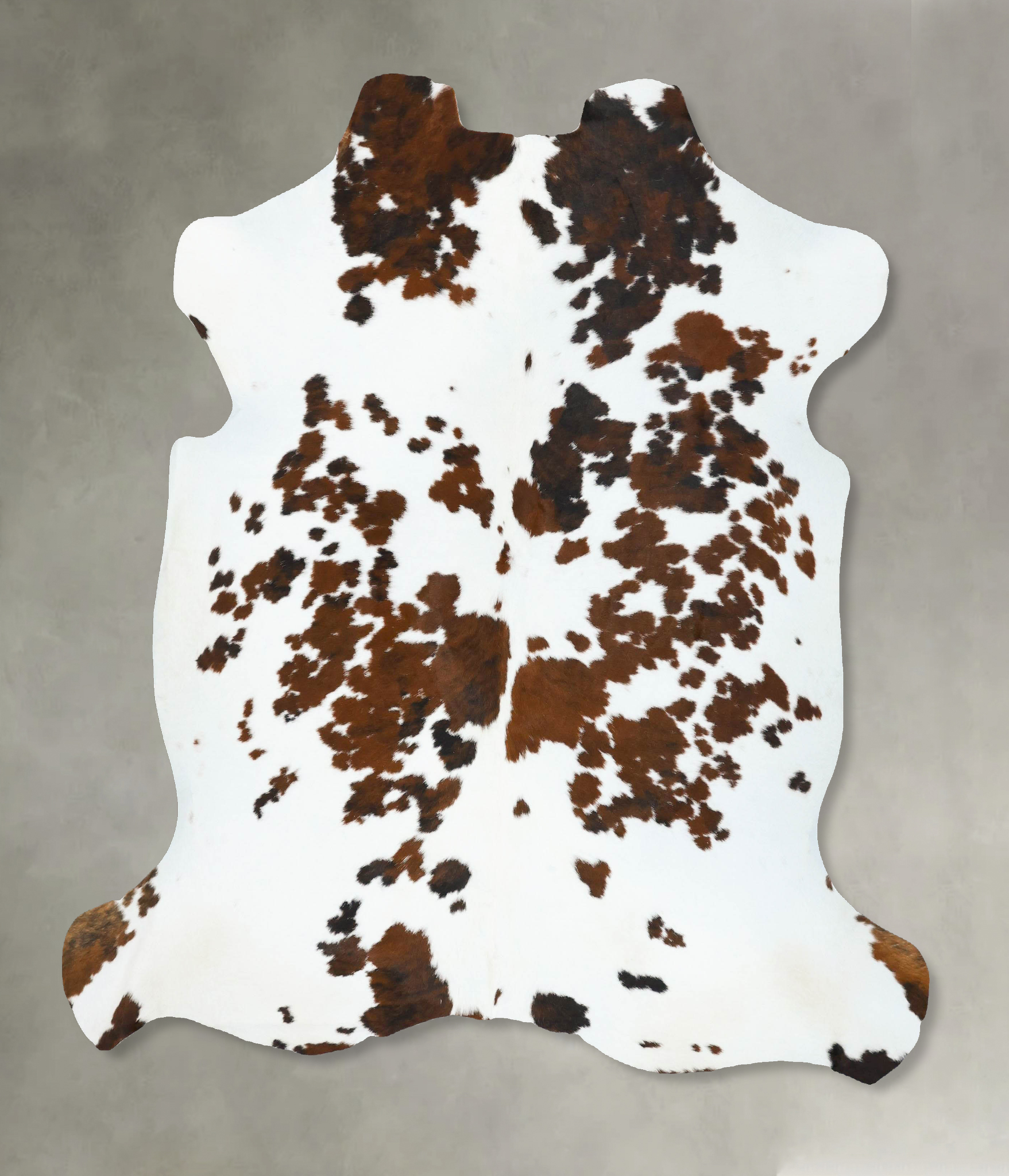 Tricolor Cowhide Rug #B22771