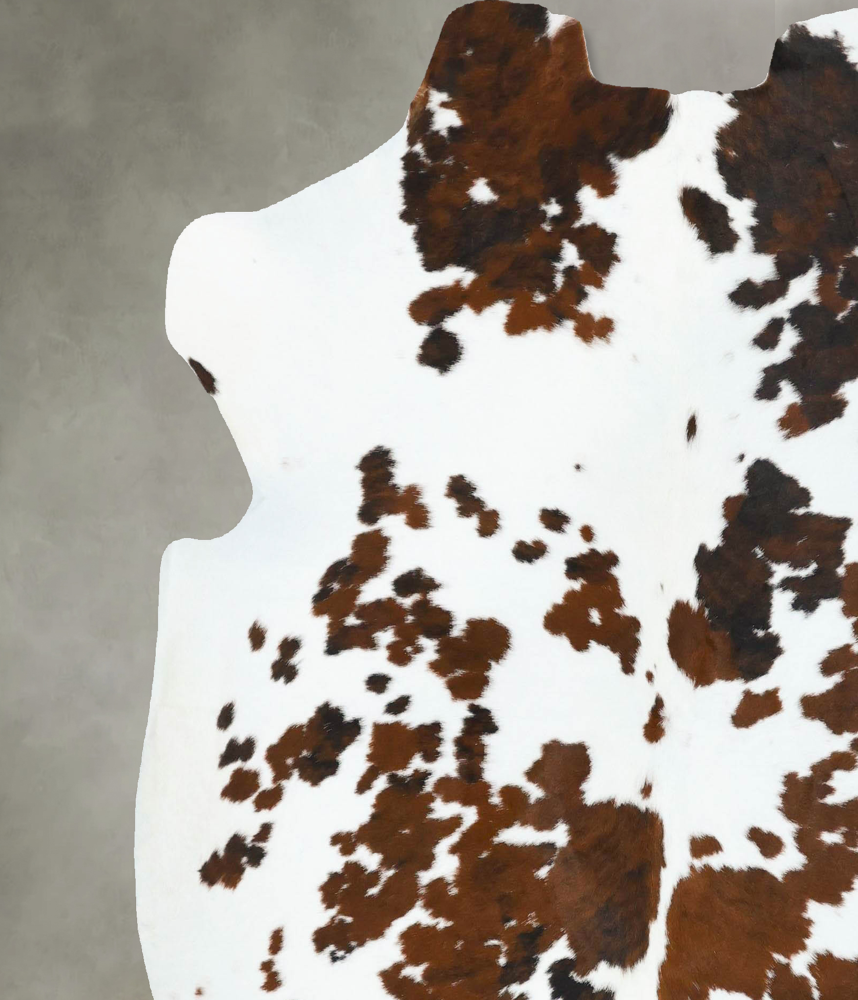 Tricolor Cowhide Rug #B22771