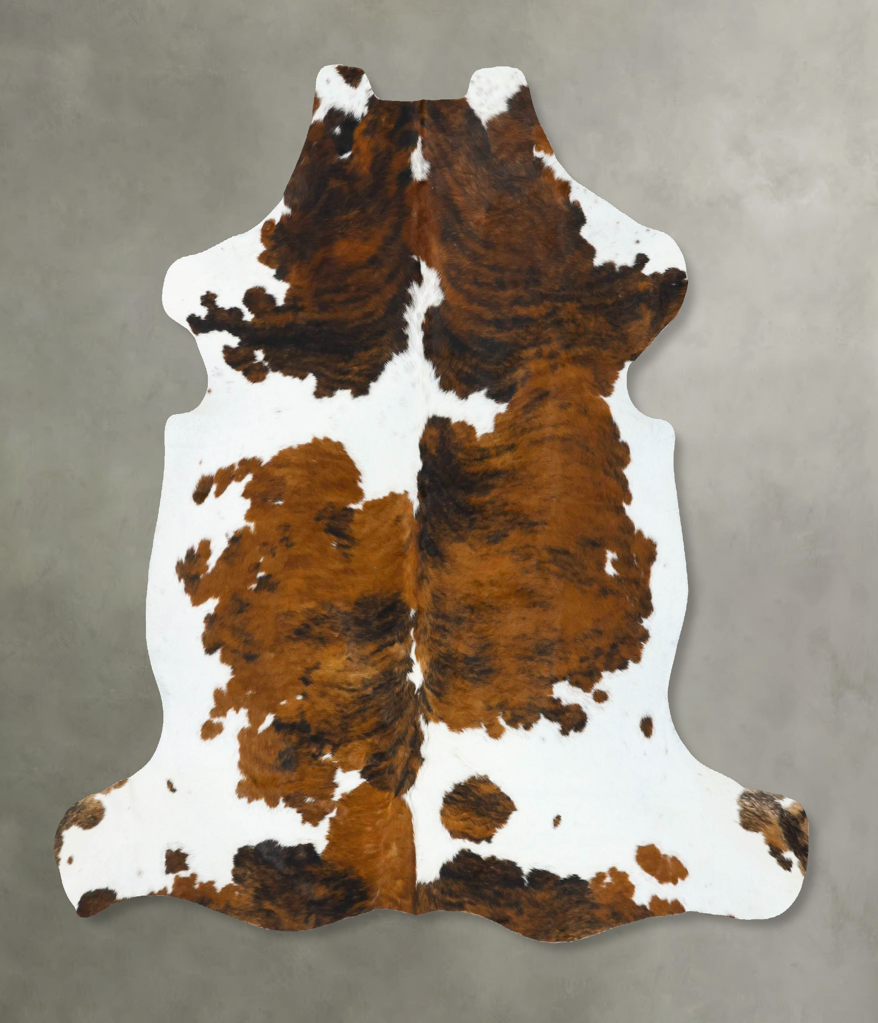 Tricolor Cowhide Rug #B22772