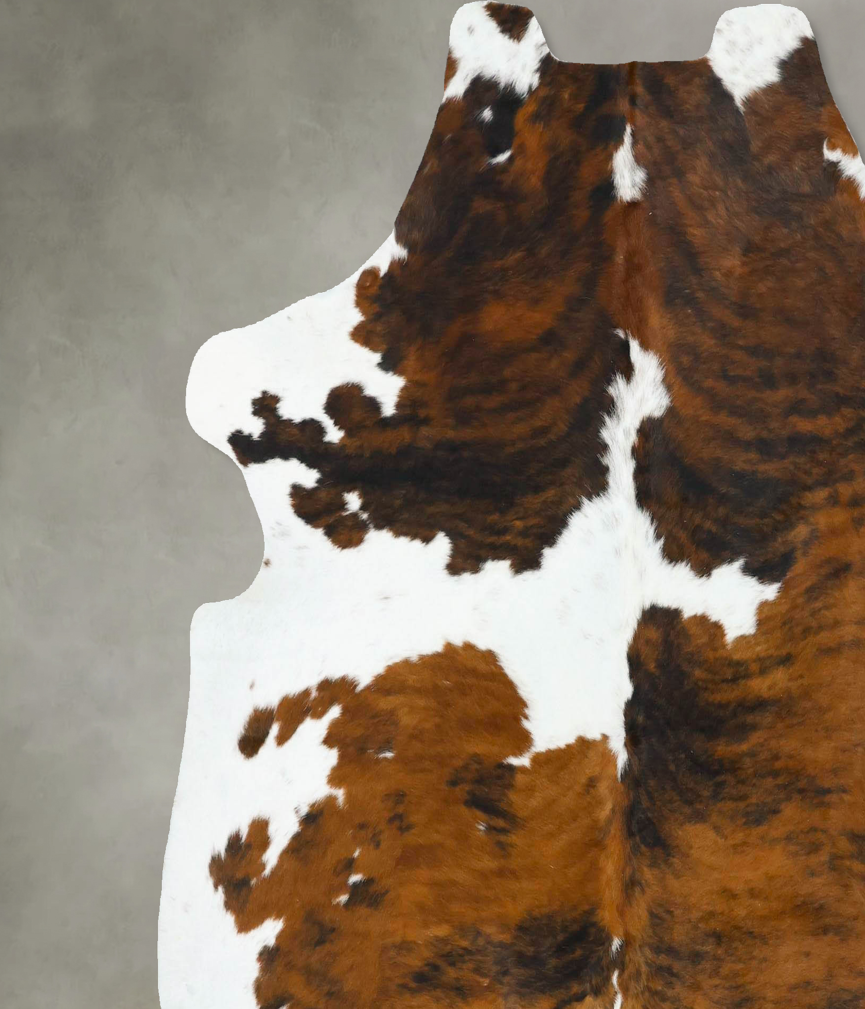 Tricolor Cowhide Rug #B22772