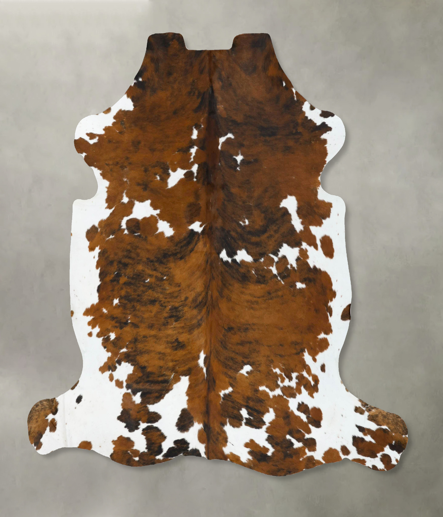Tricolor Cowhide Rug #B22775