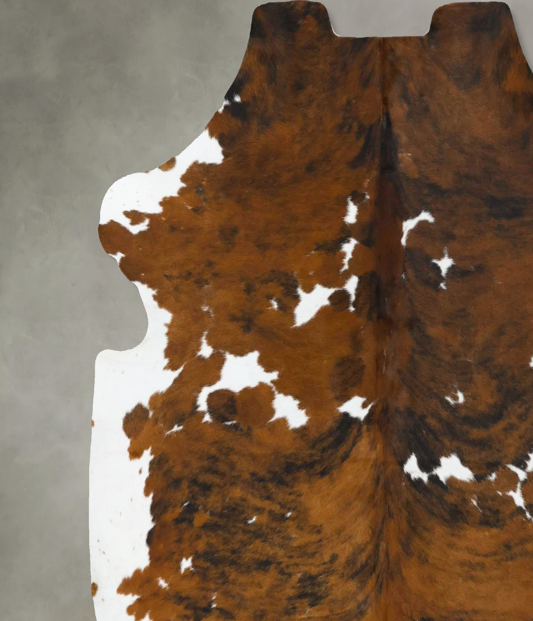 Tricolor Cowhide Rug #B22775