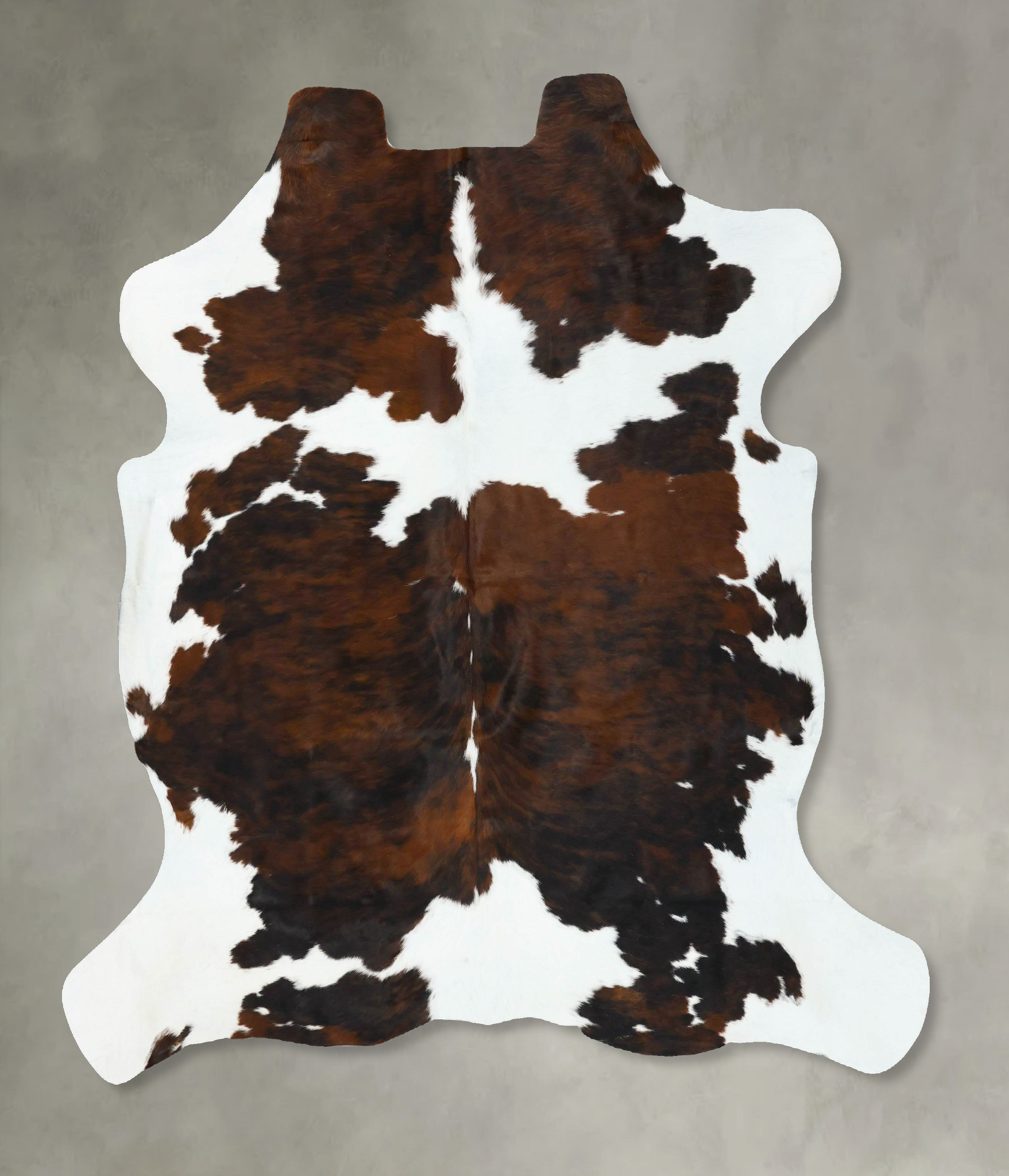 Tricolor Cowhide Rug #B22776