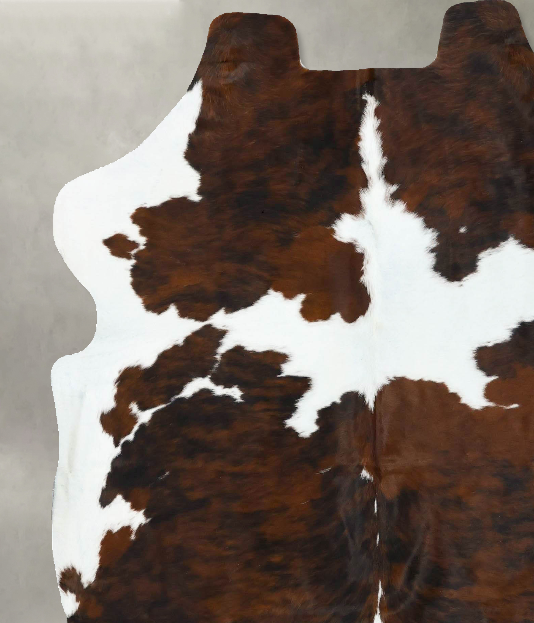 Tricolor Cowhide Rug #B22776