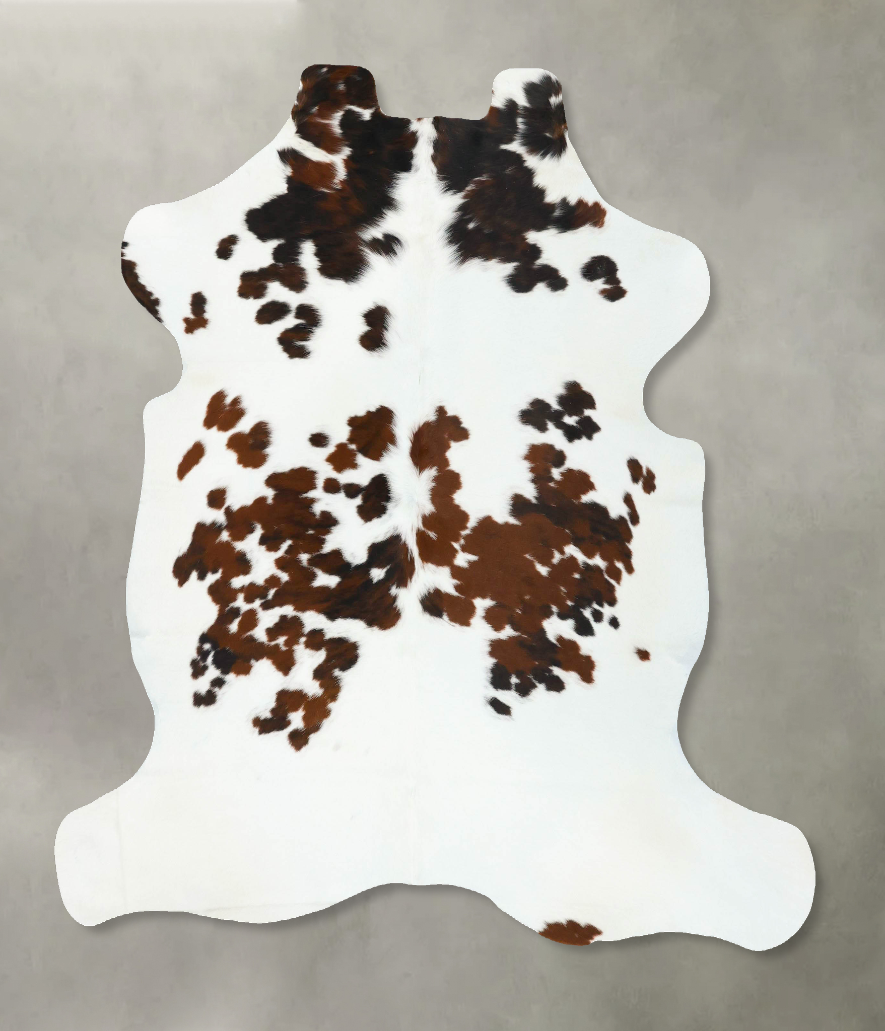 Tricolor Cowhide Rug #B22780