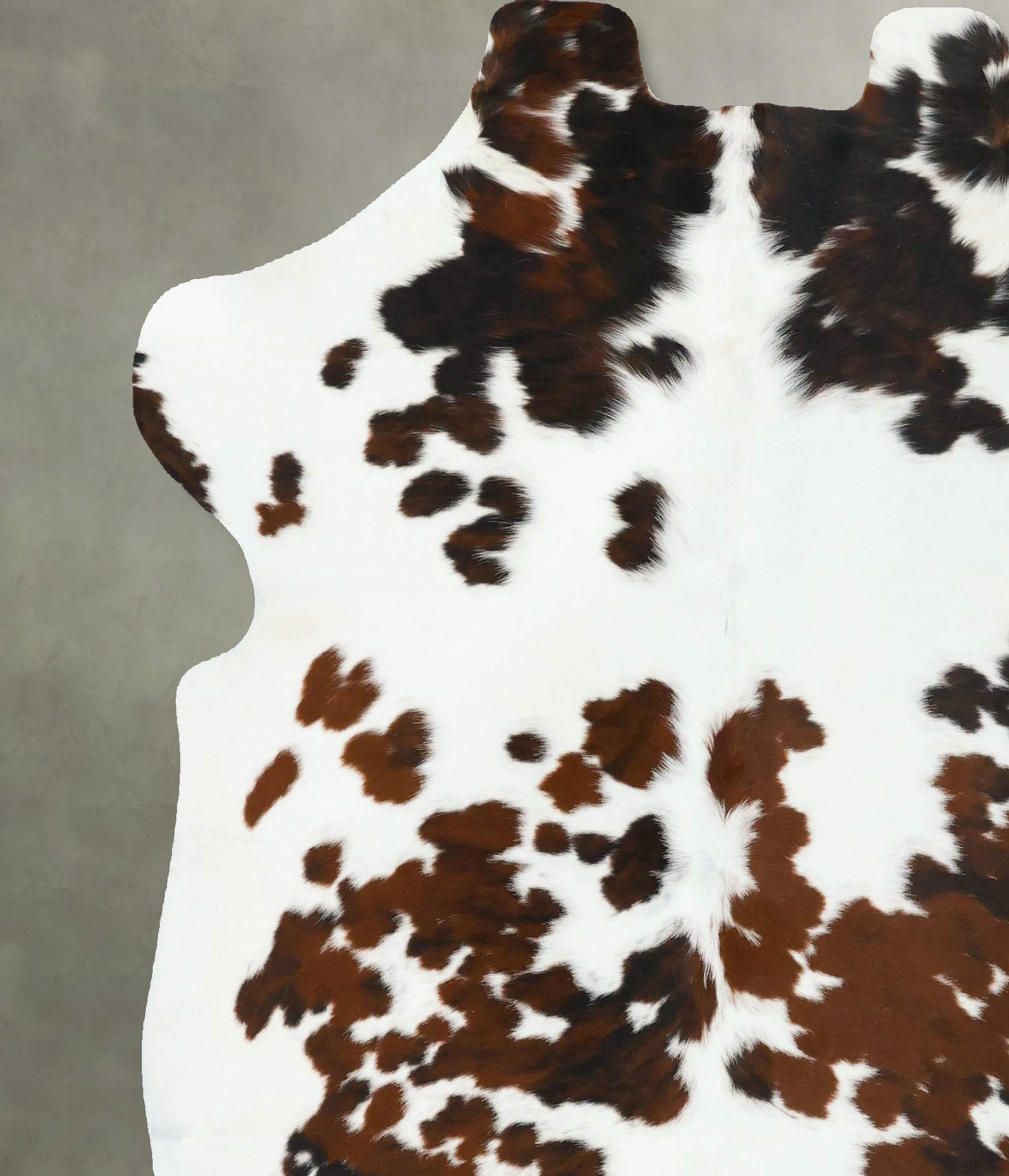 Tricolor Cowhide Rug #B22780