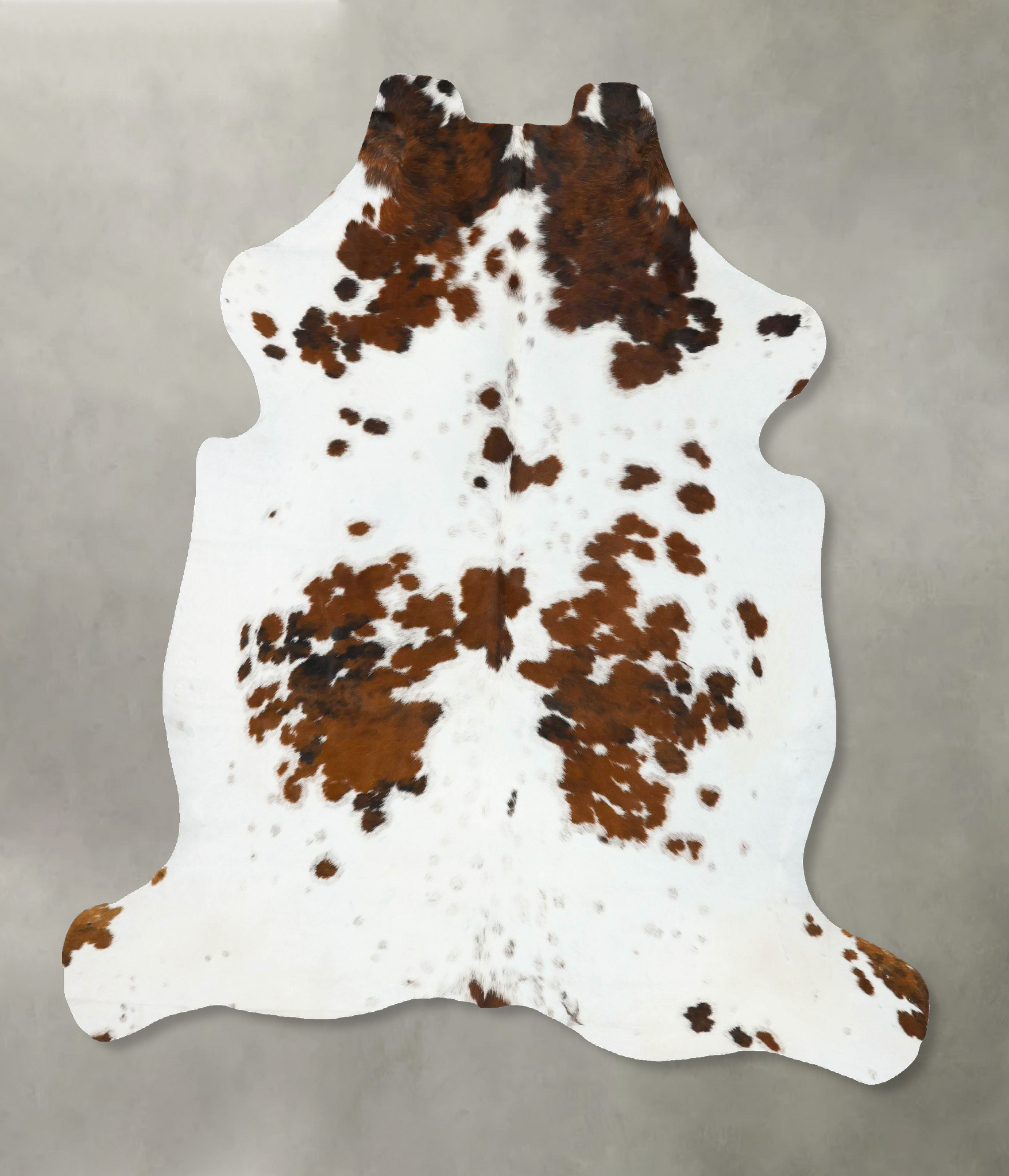 Tricolor Cowhide Rug #B22787