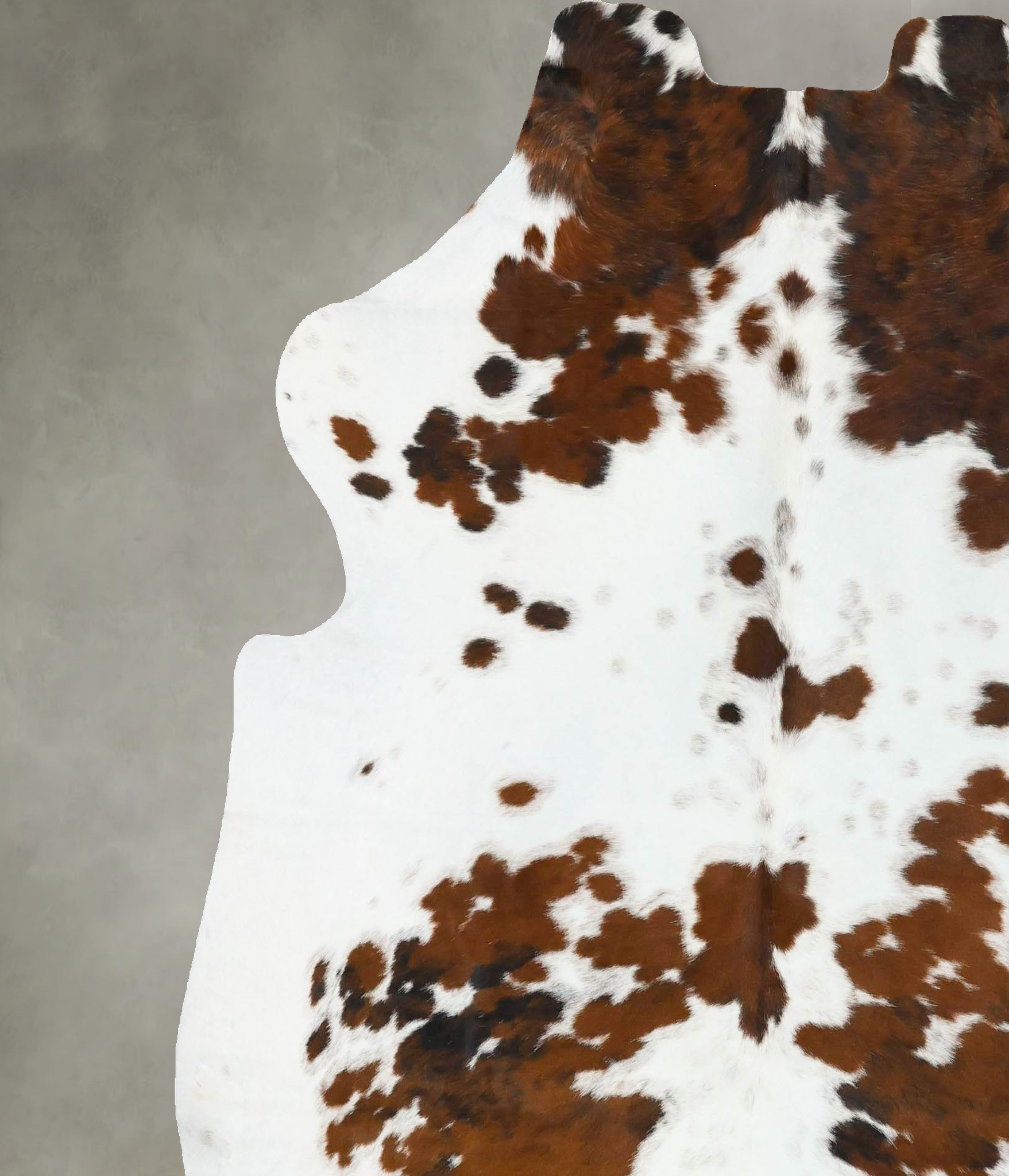 Tricolor Cowhide Rug #B22787