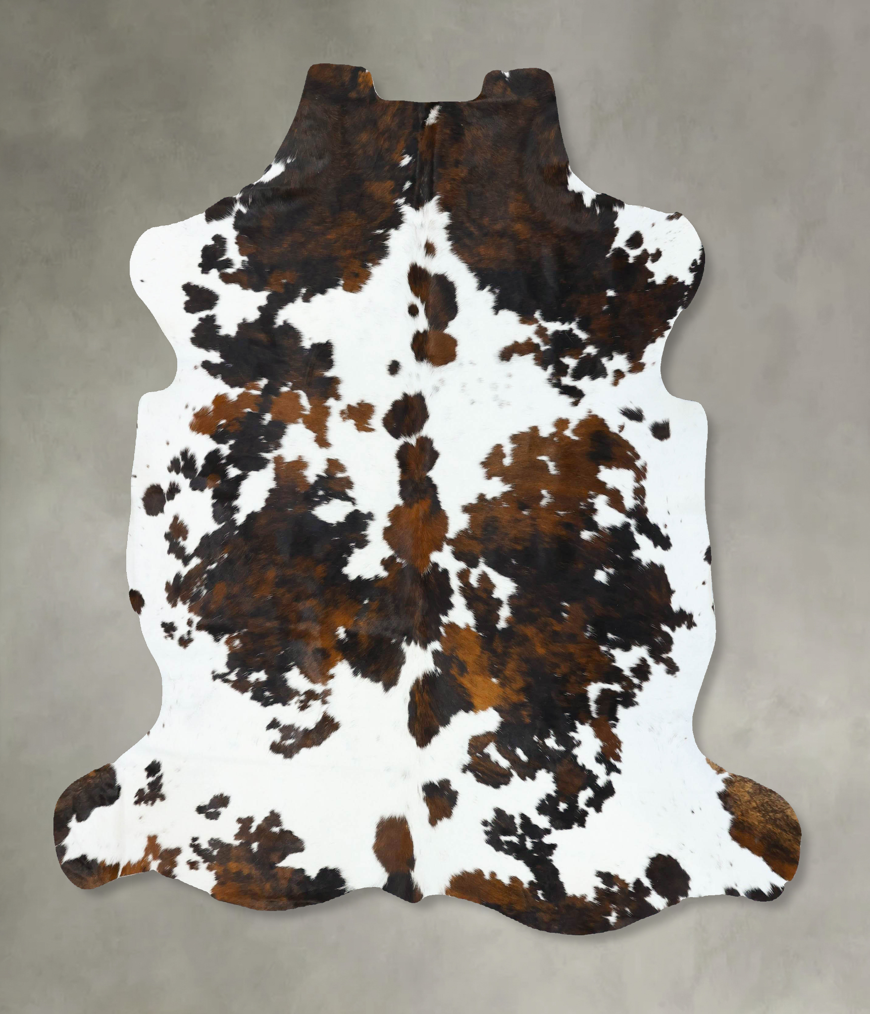 Tricolor Cowhide Rug #B22789
