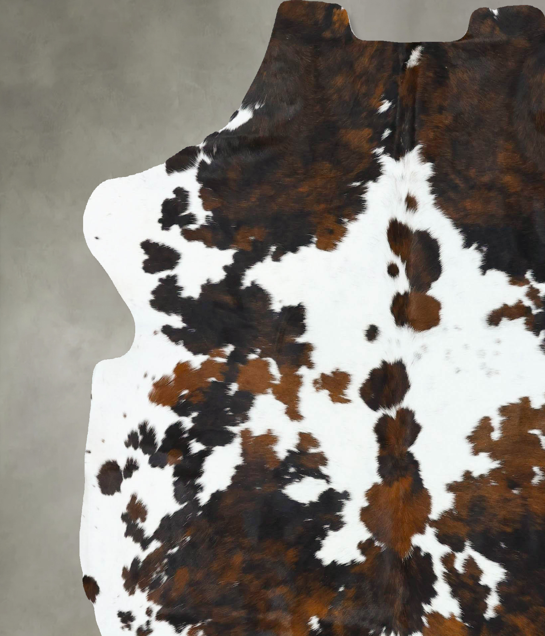 Tricolor Cowhide Rug #B22789