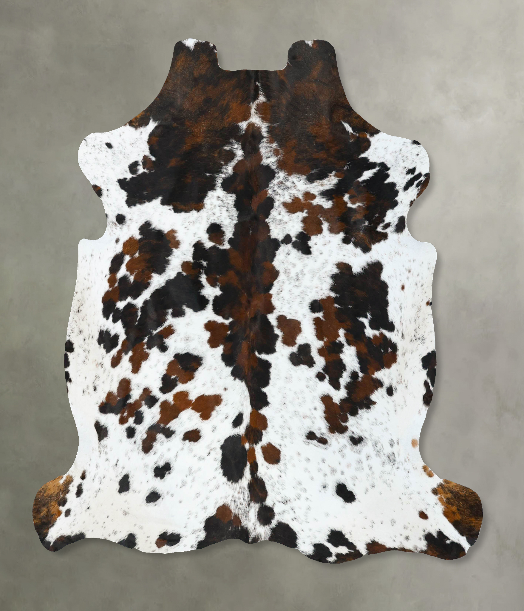 Tricolor Cowhide Rug #B22790