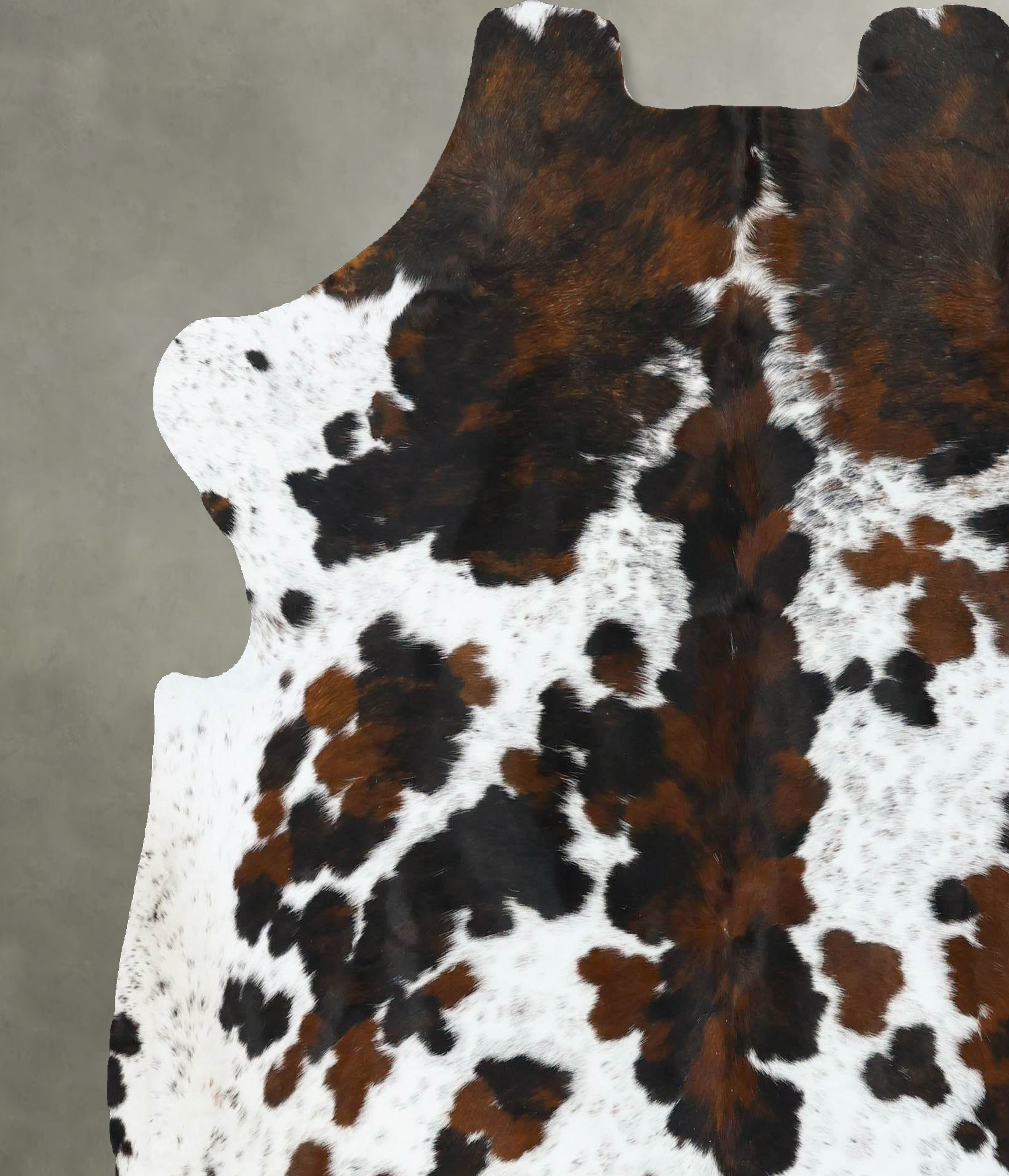 Tricolor Cowhide Rug #B22790