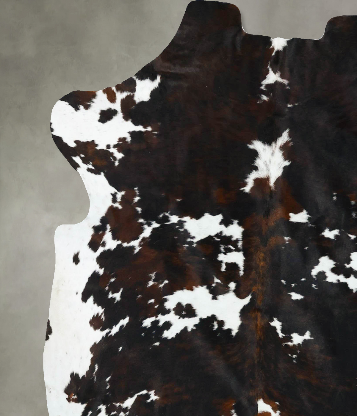 Tricolor X-Large European Cowhide Rug 6'10"H x 6'5"W #B22791 by Hudson Hides