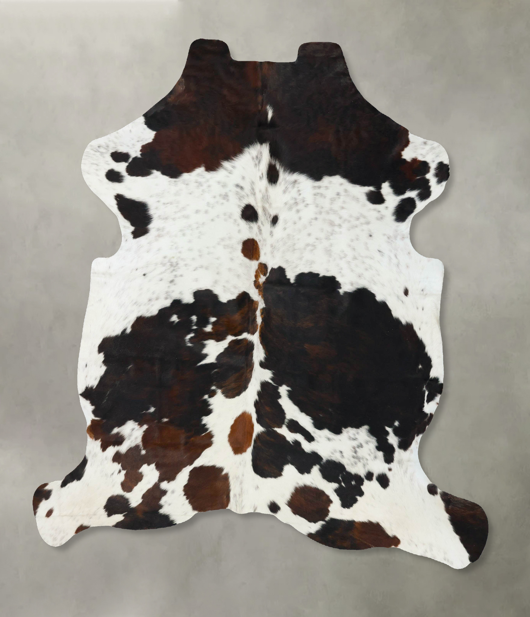 Tricolor Cowhide Rug #B22796