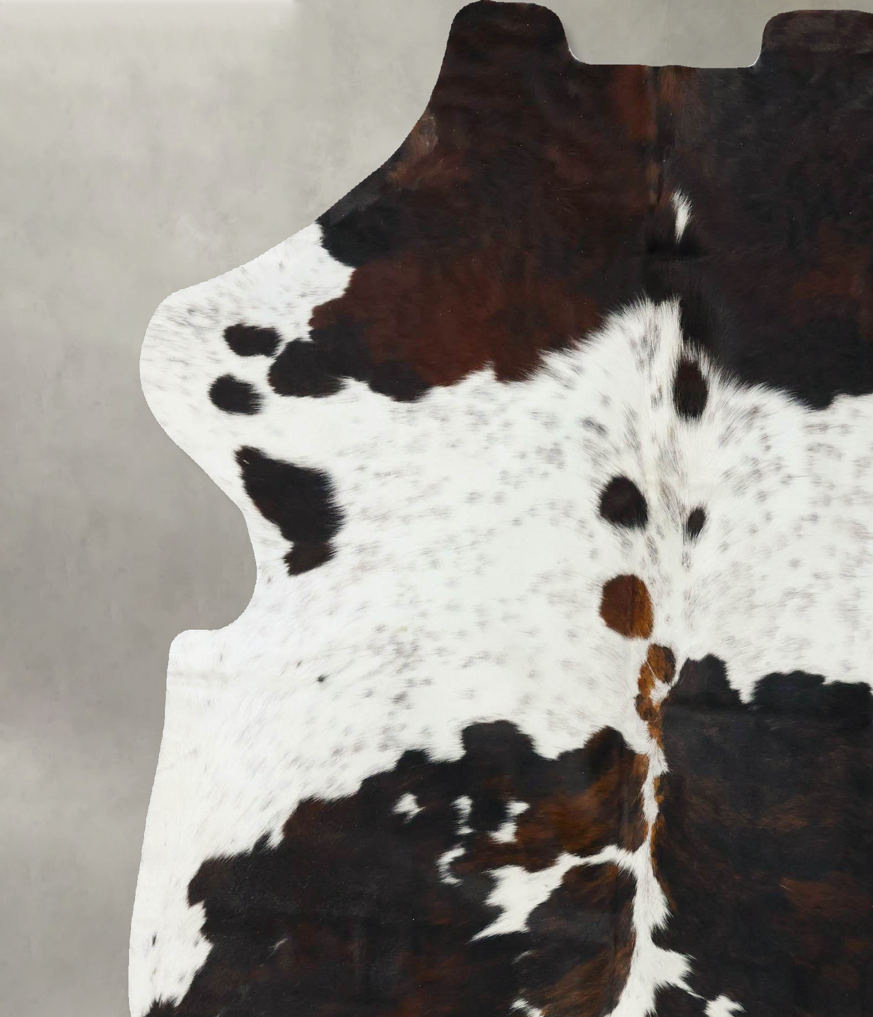 Tricolor Cowhide Rug #B22796