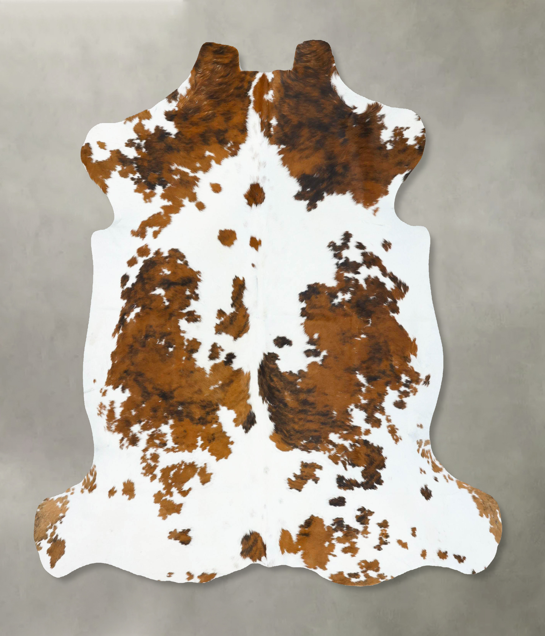 Tricolor Cowhide Rug #B22797