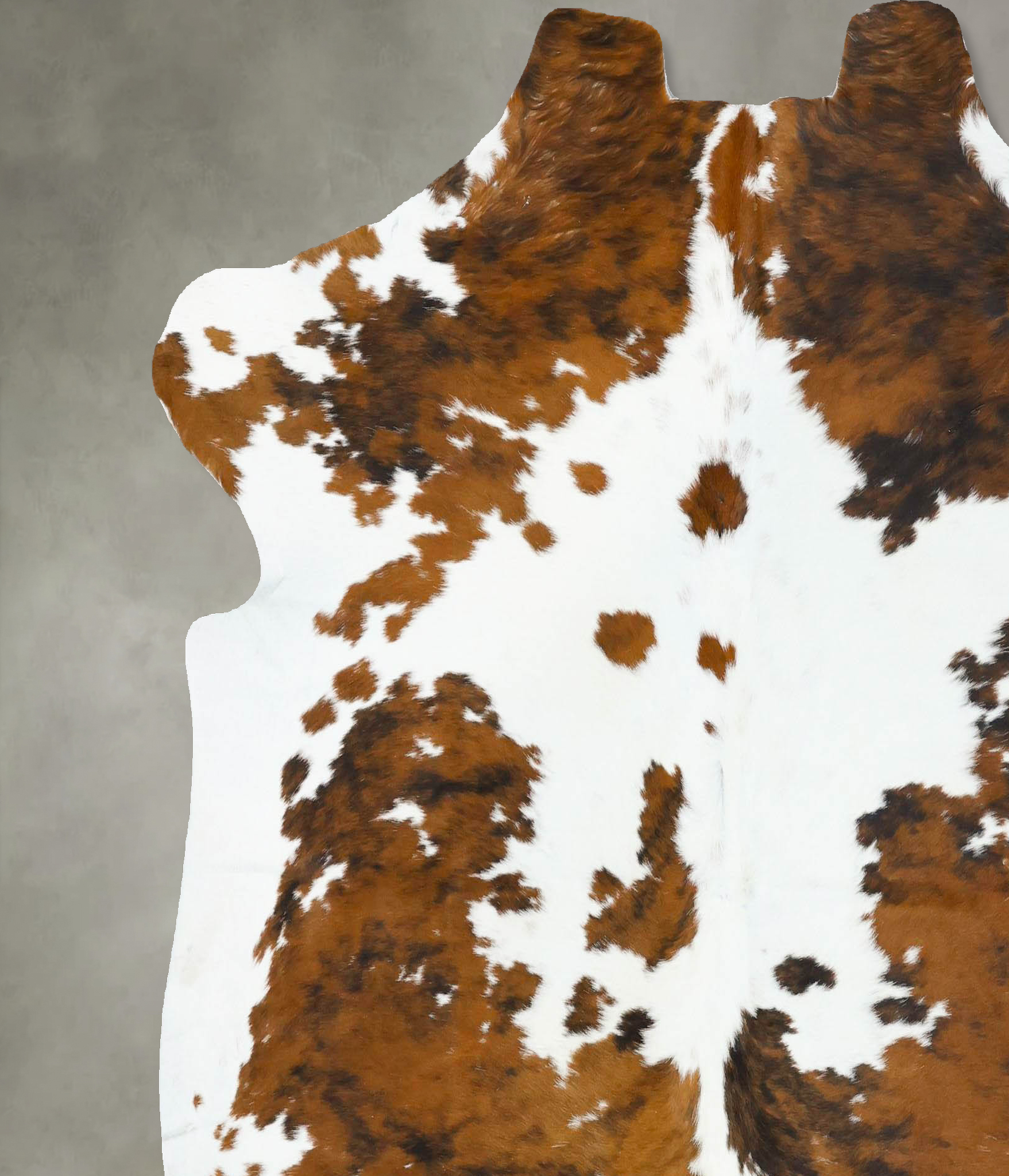Tricolor Cowhide Rug #B22797