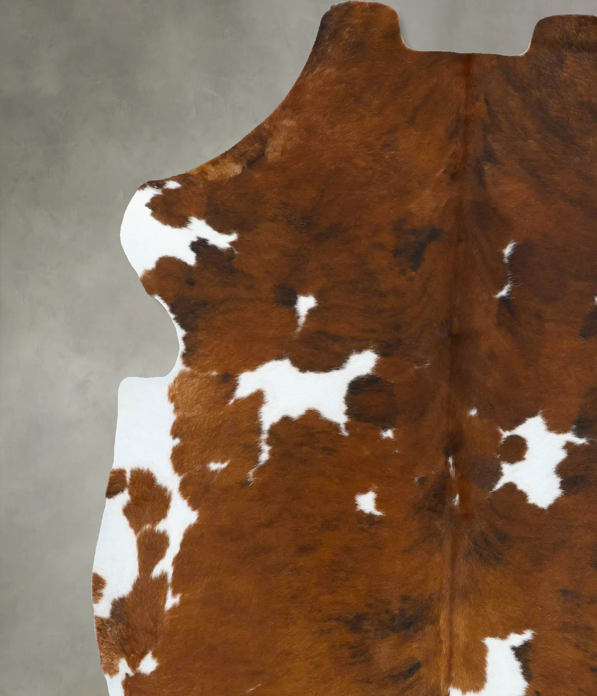 Tricolor X-Large European Cowhide Rug 7'0"H x 6'4"W #B22798 by Hudson Hides