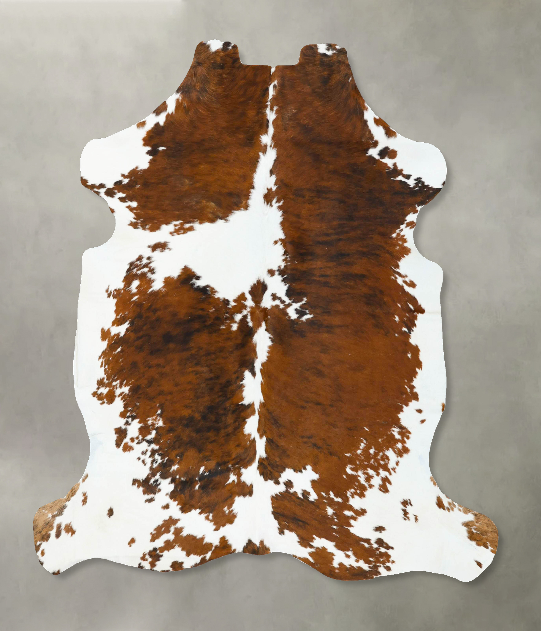 Tricolor Cowhide Rug #B22800