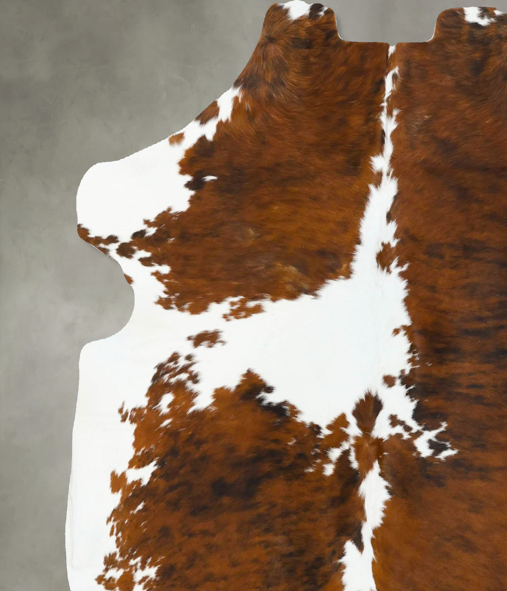 Tricolor Cowhide Rug #B22800
