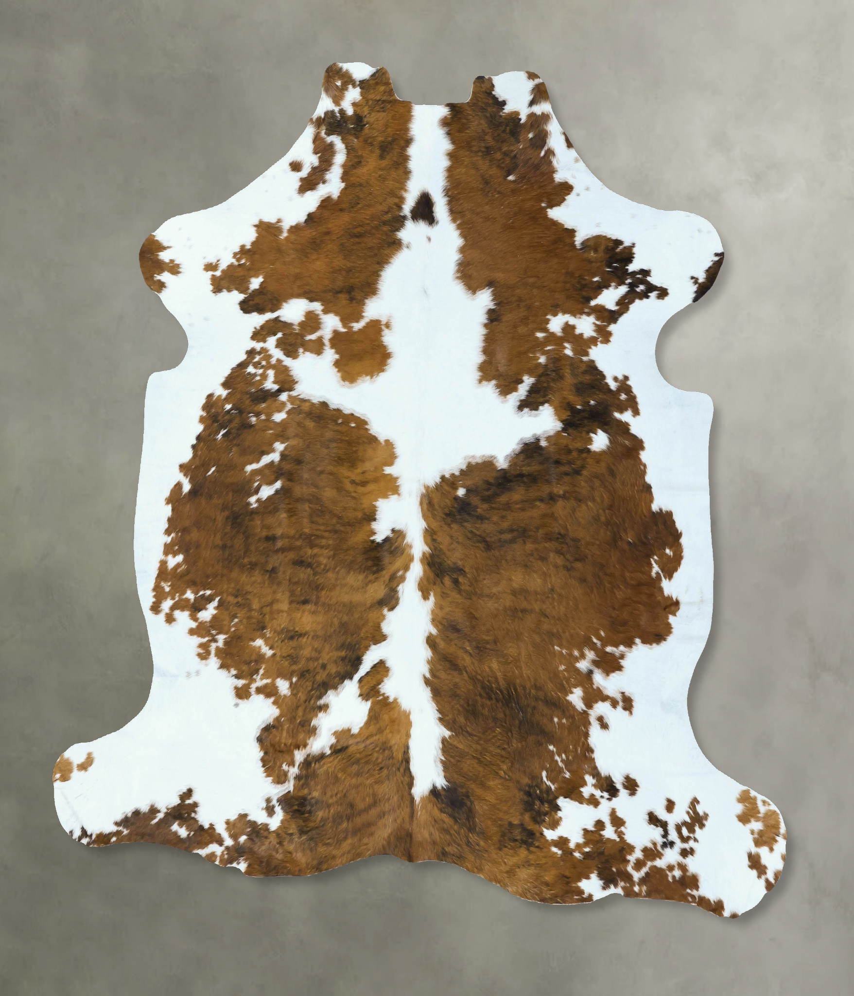 Tricolor Cowhide Rug #B22802