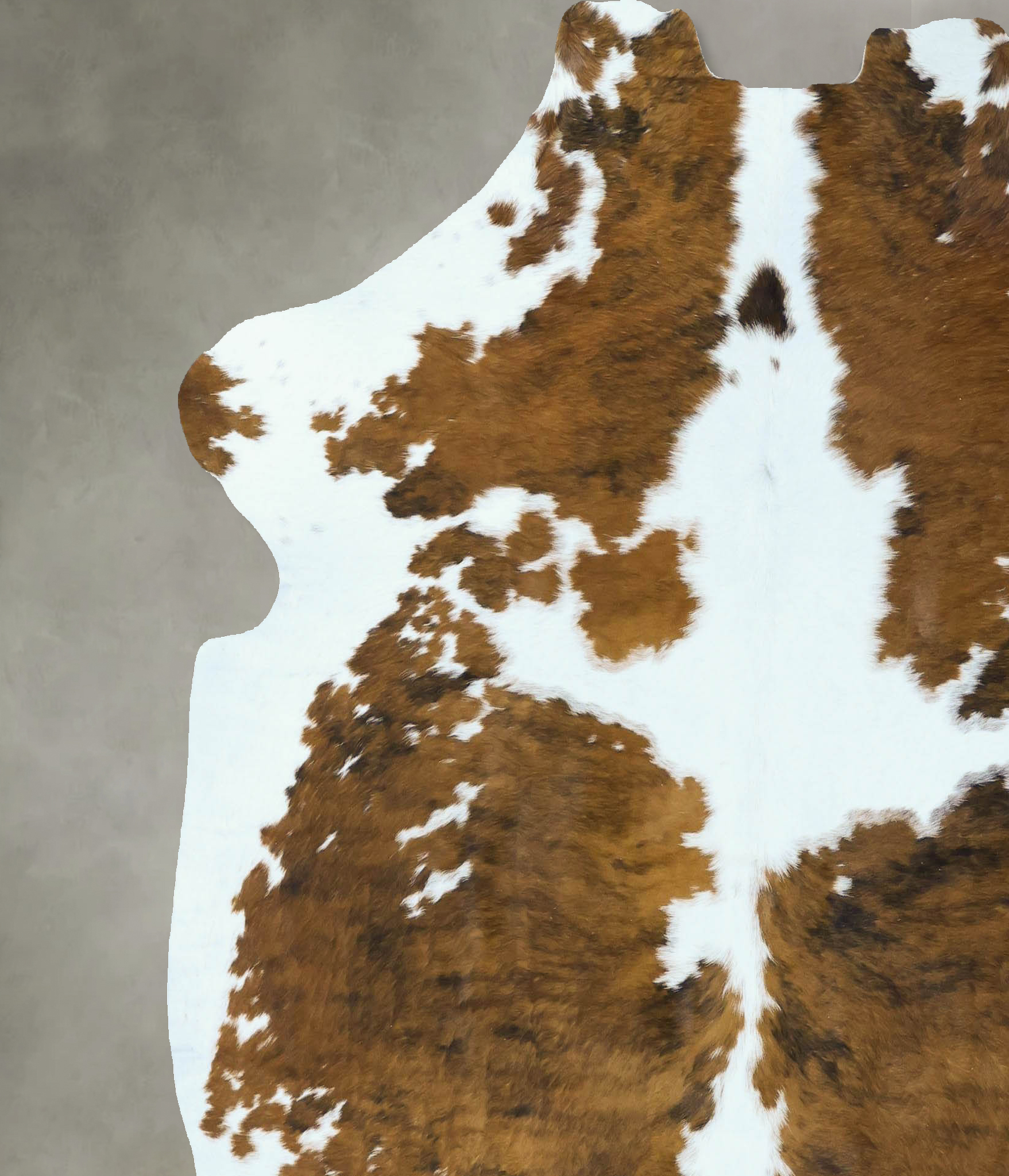 Tricolor Cowhide Rug #B22802