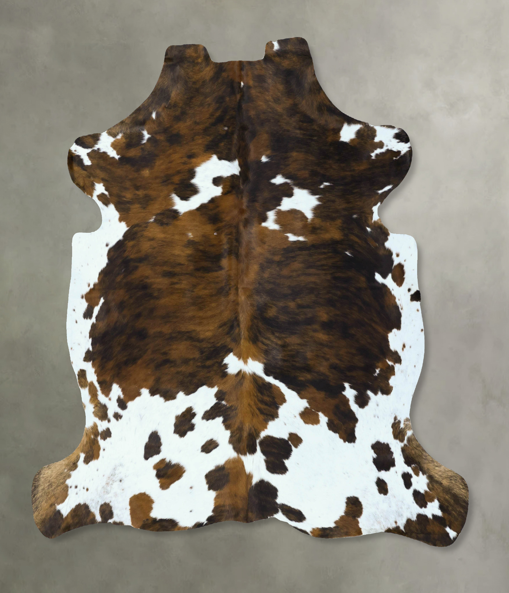 Tricolor Cowhide Rug #B22803