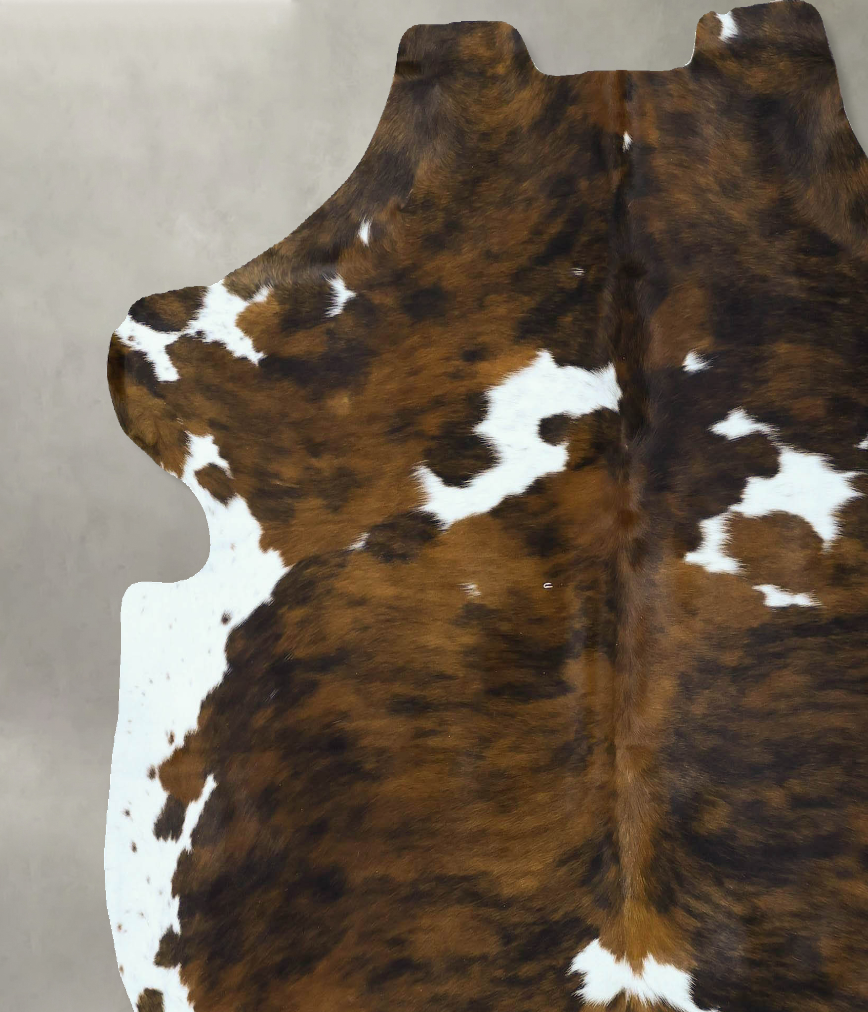 Tricolor Cowhide Rug #B22803