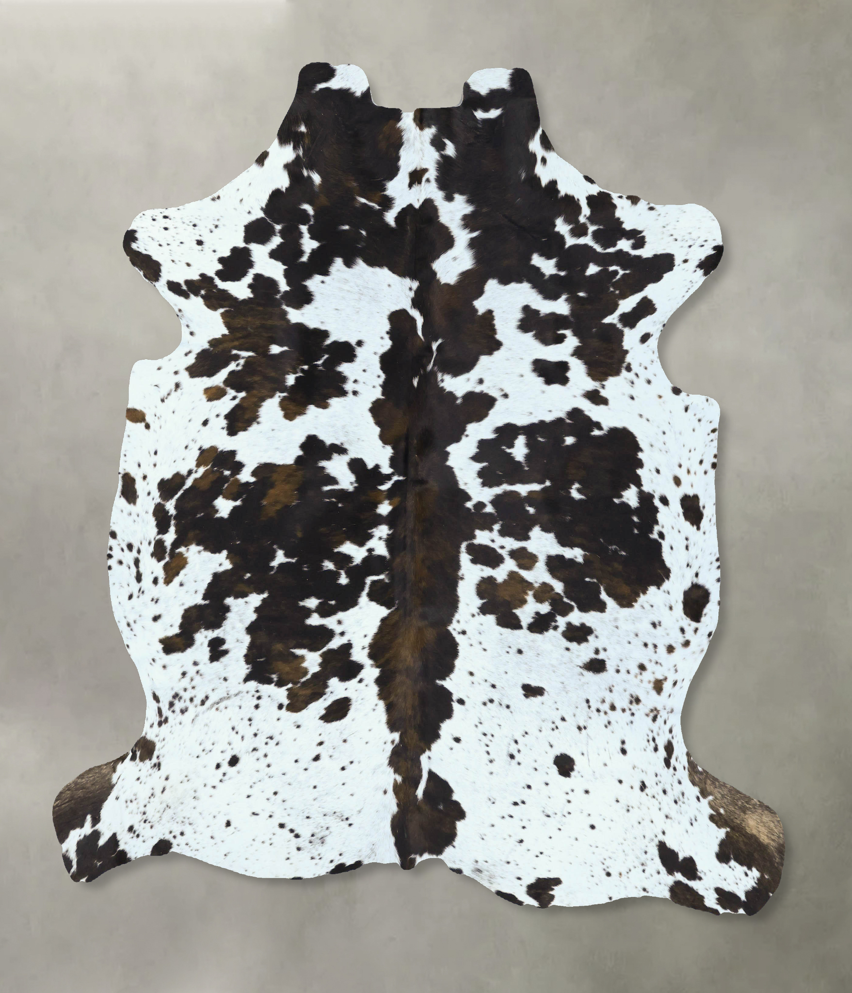 Tricolor Cowhide Rug #B22806