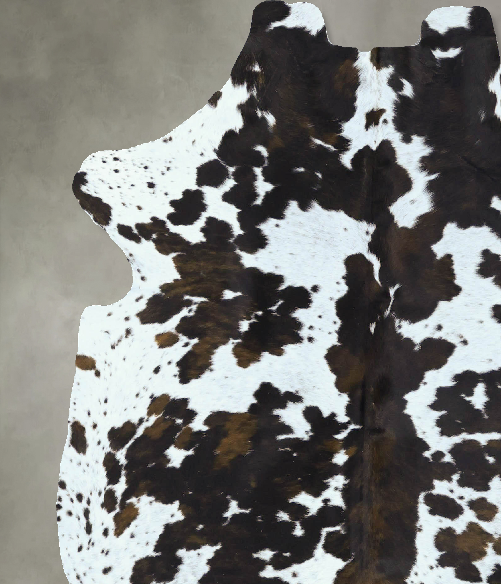 Tricolor Cowhide Rug #B22806