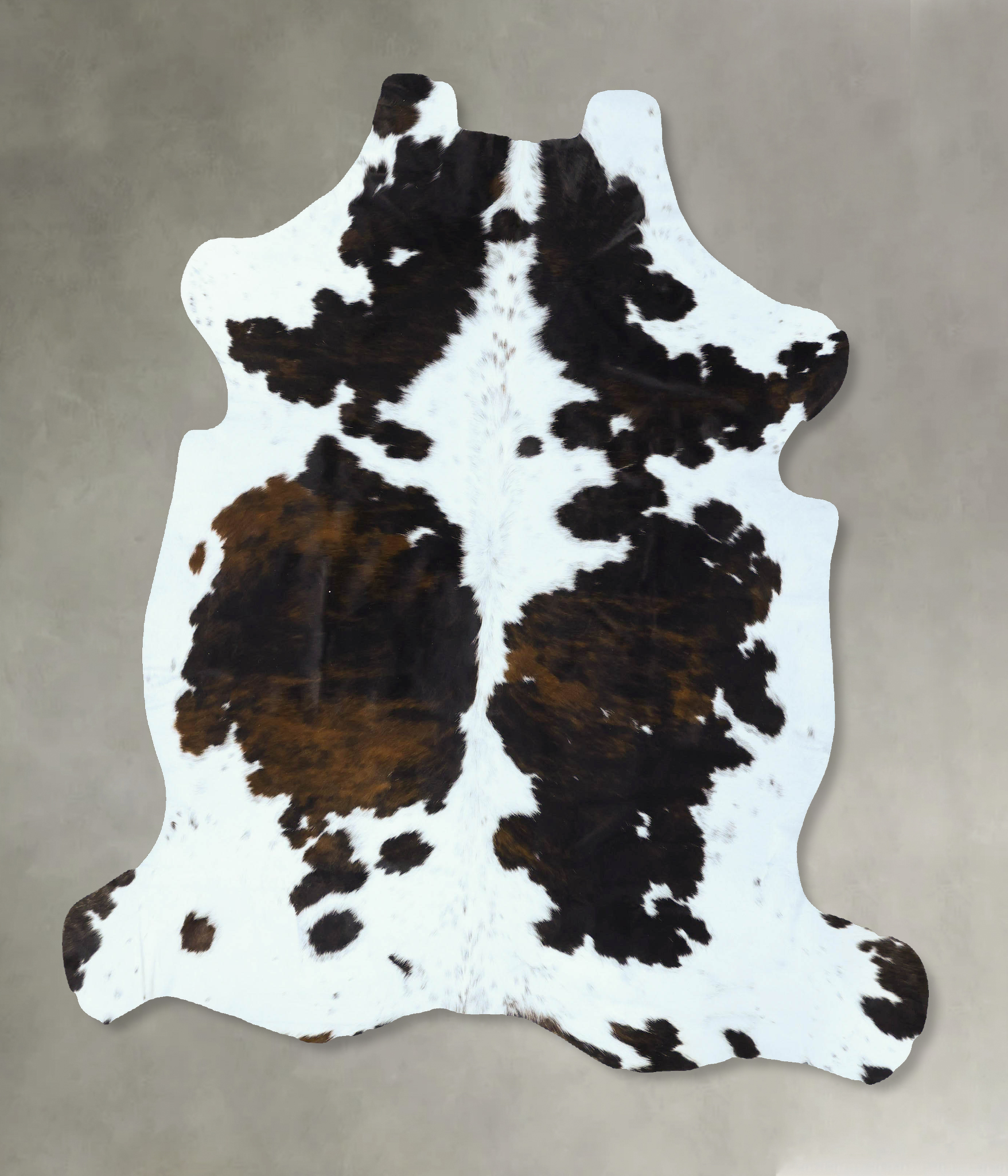 Tricolor Cowhide Rug #B22807