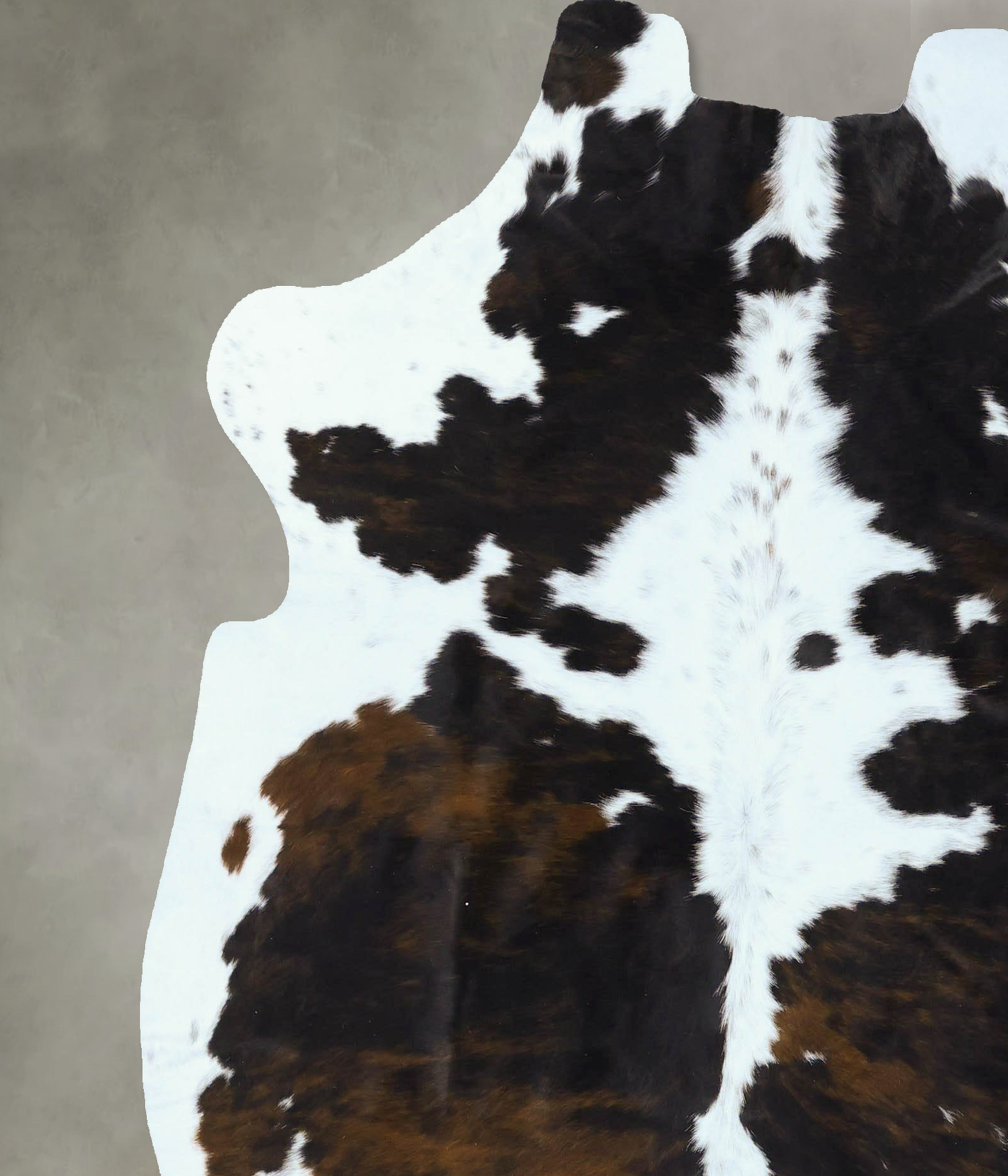 Tricolor Cowhide Rug #B22807
