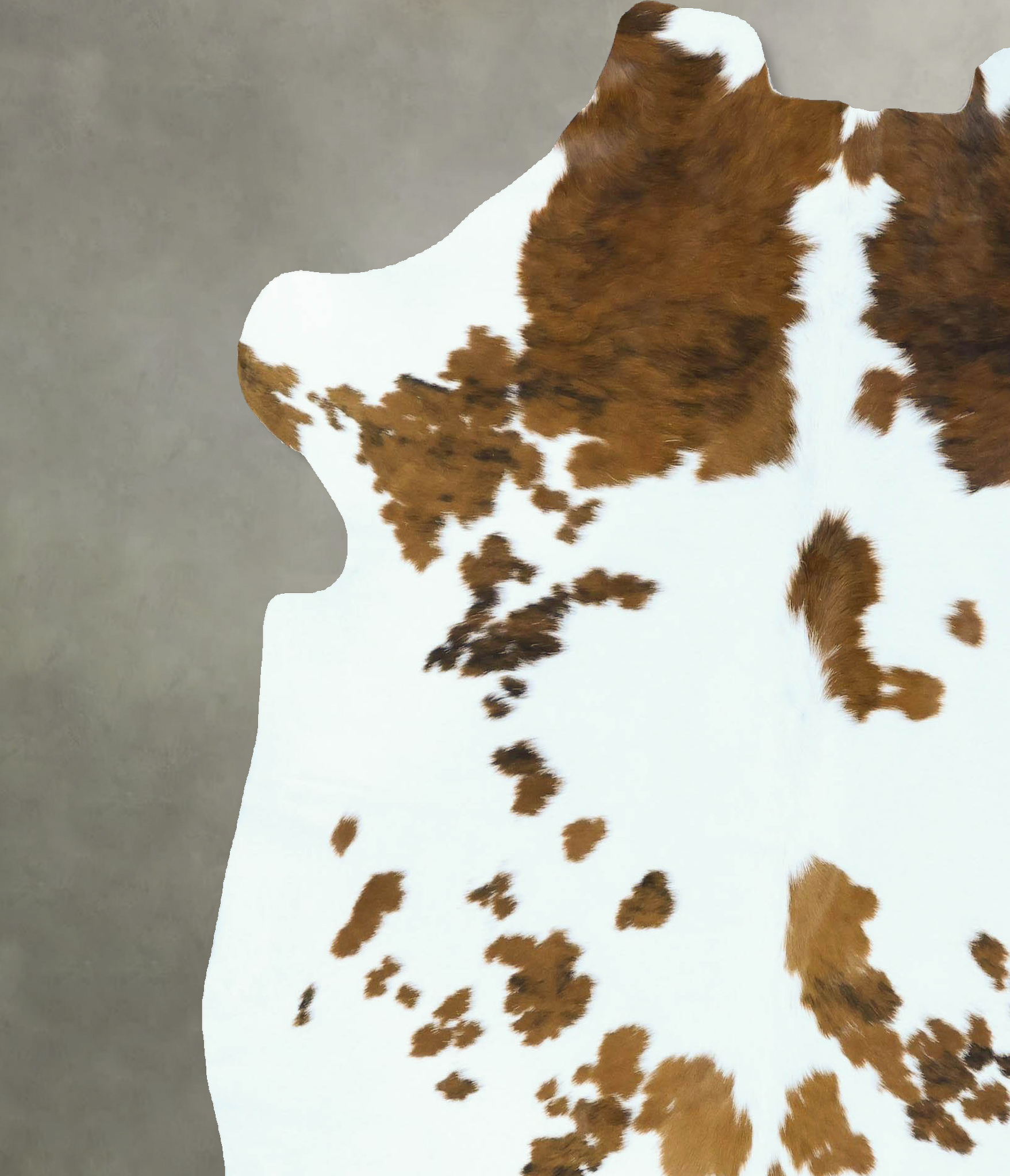 Tricolor Cowhide Rug #B22808