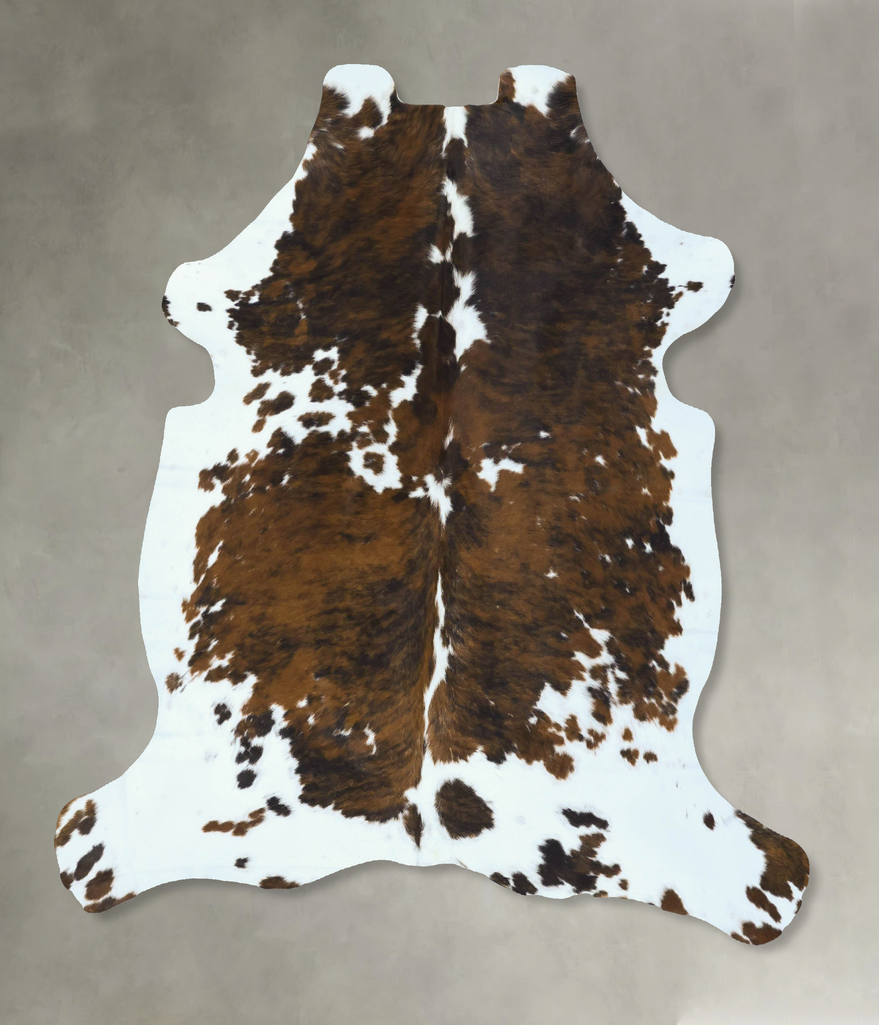 Tricolor Cowhide Rug #B22809