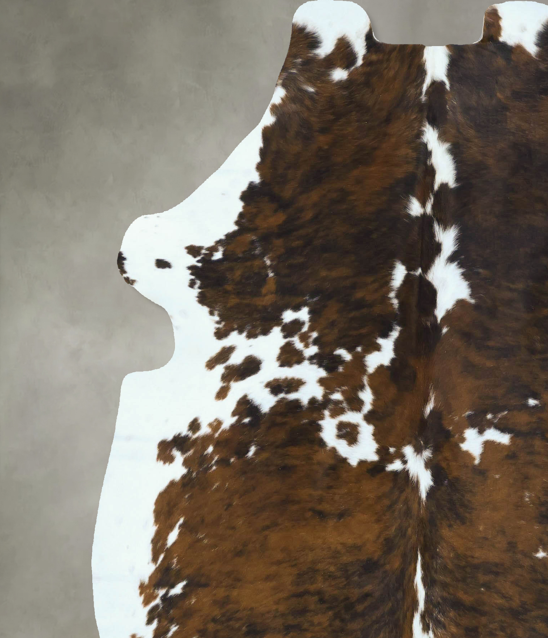 Tricolor Cowhide Rug #B22809