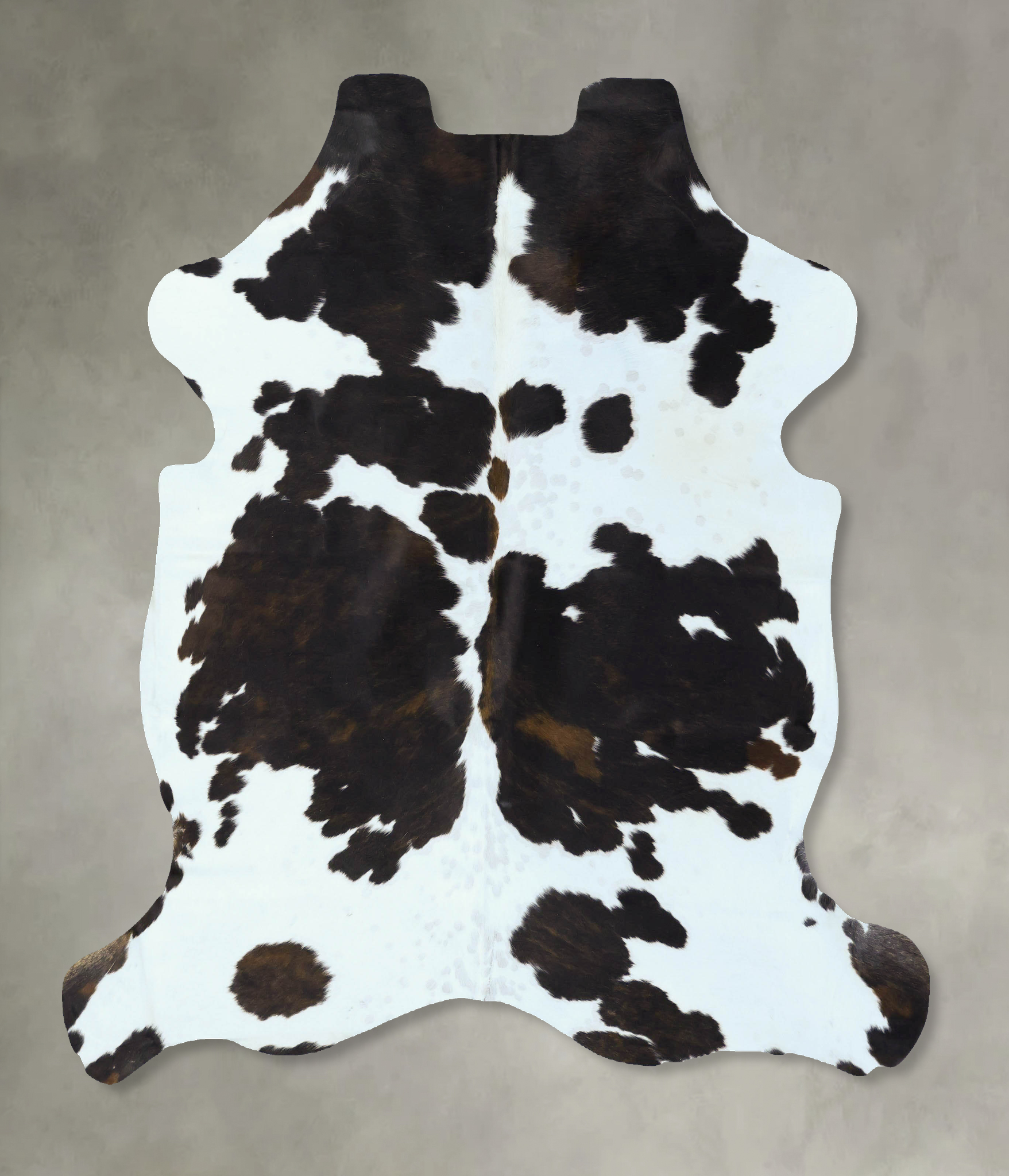 Tricolor Cowhide Rug #B22810