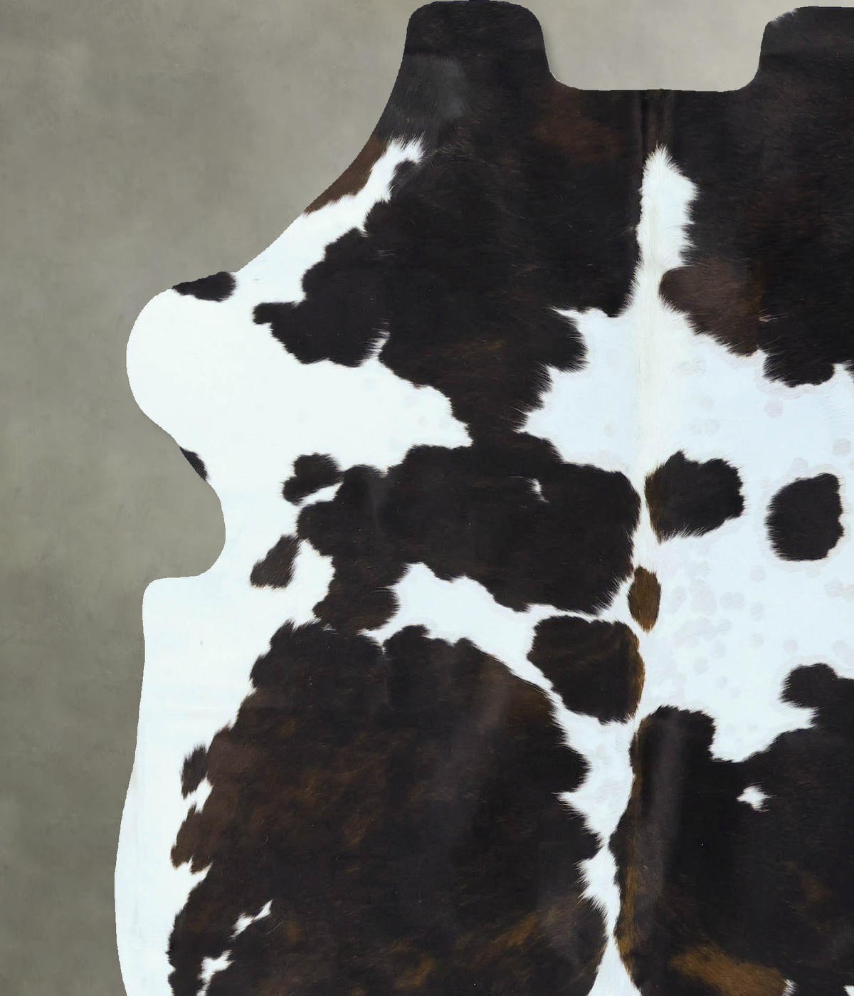 Tricolor X-Large European Cowhide Rug 6'9"H x 6'2"W #B22810 by Hudson Hides