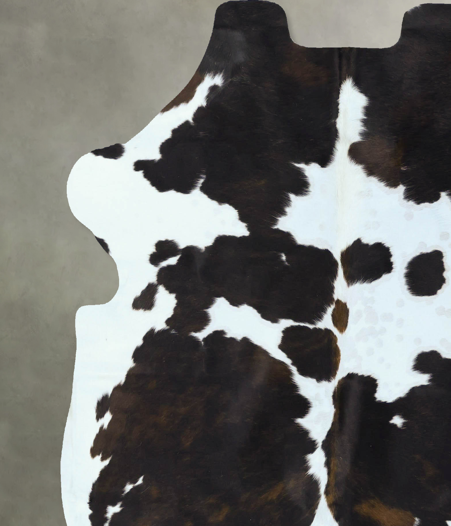 Tricolor Cowhide Rug #B22810