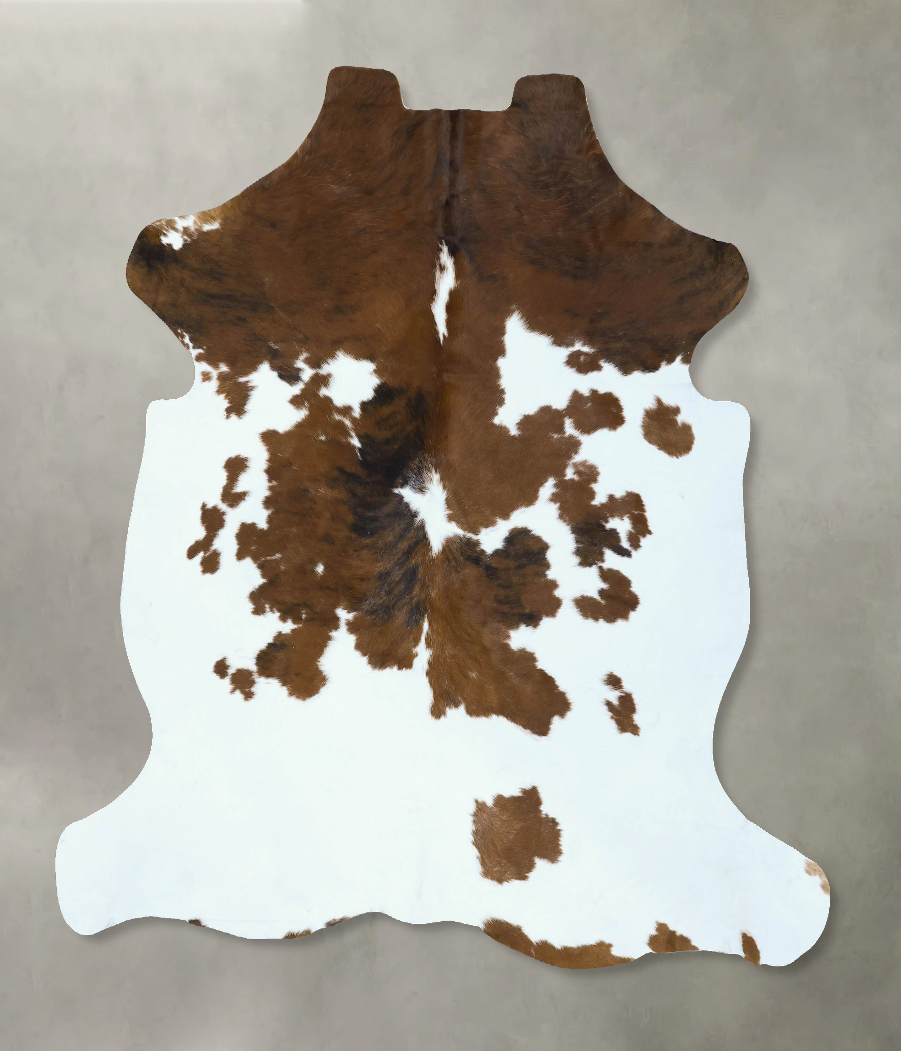 Tricolor Cowhide Rug #B22811