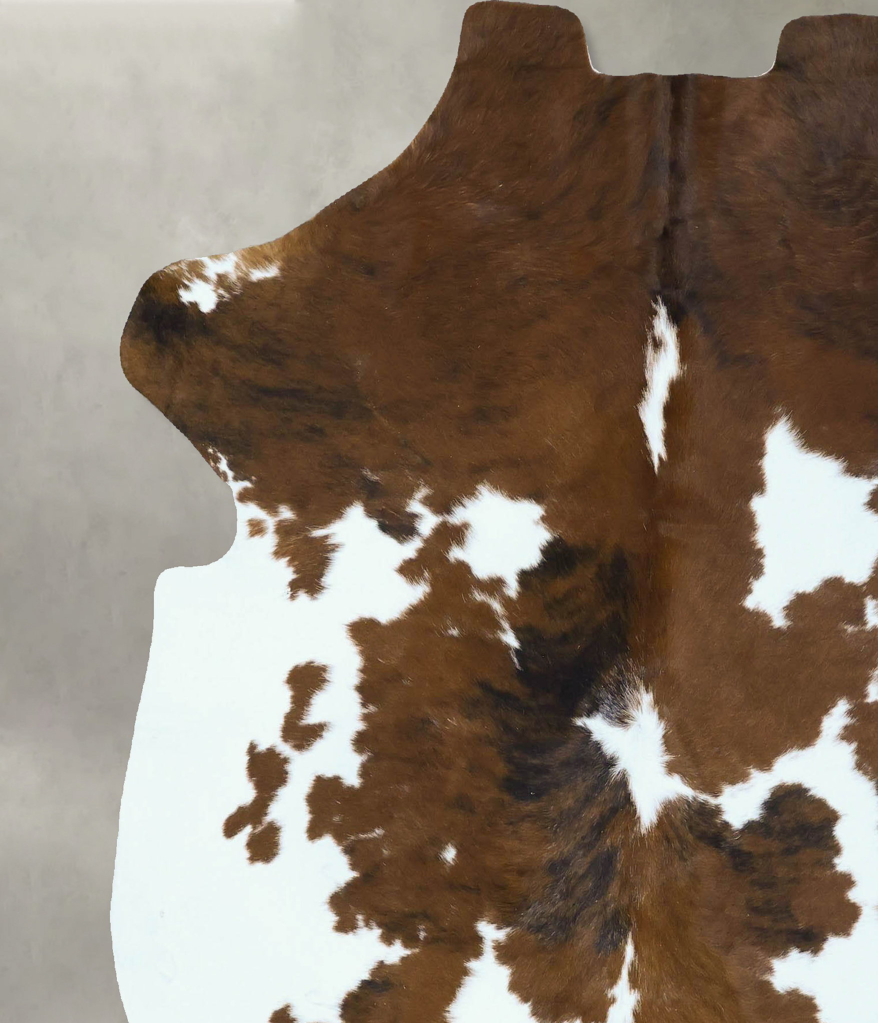 Tricolor Cowhide Rug #B22811