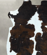 Tricolor X-Large European Cowhide Rug 6'10"H x 6'5"W #B22812 by Hudson Hides