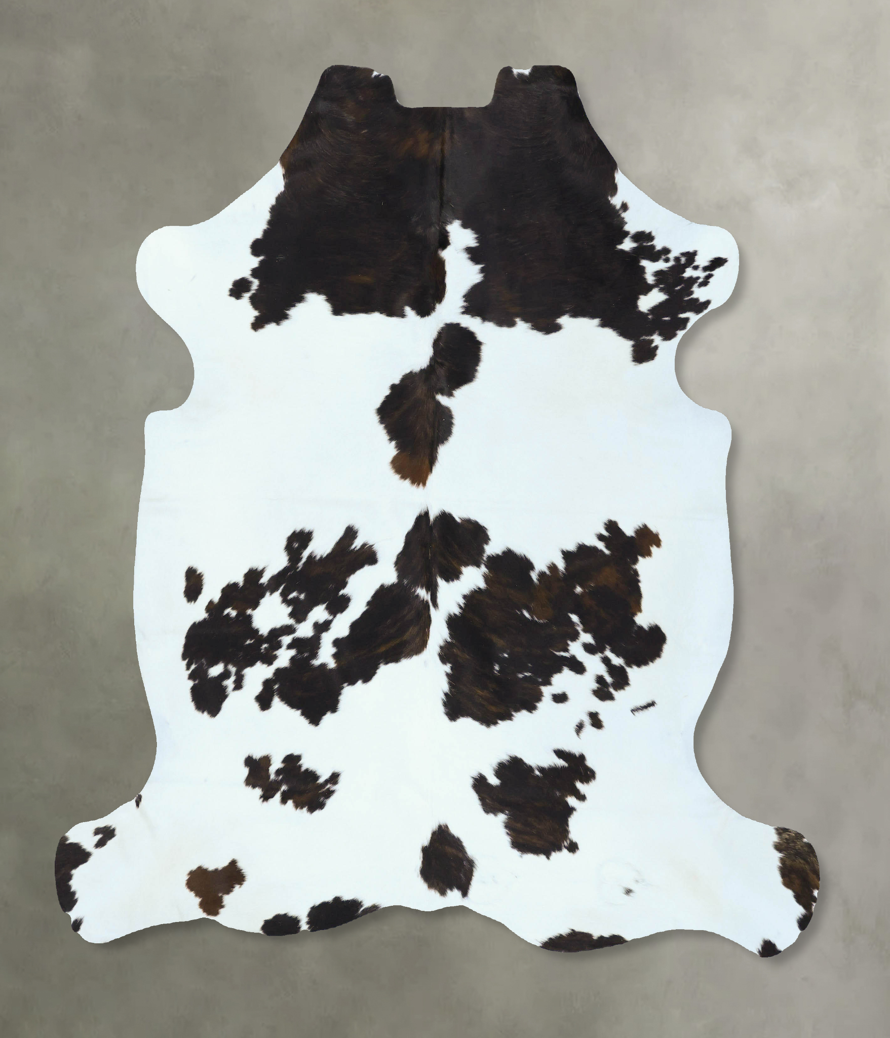 Tricolor Cowhide Rug #B22813