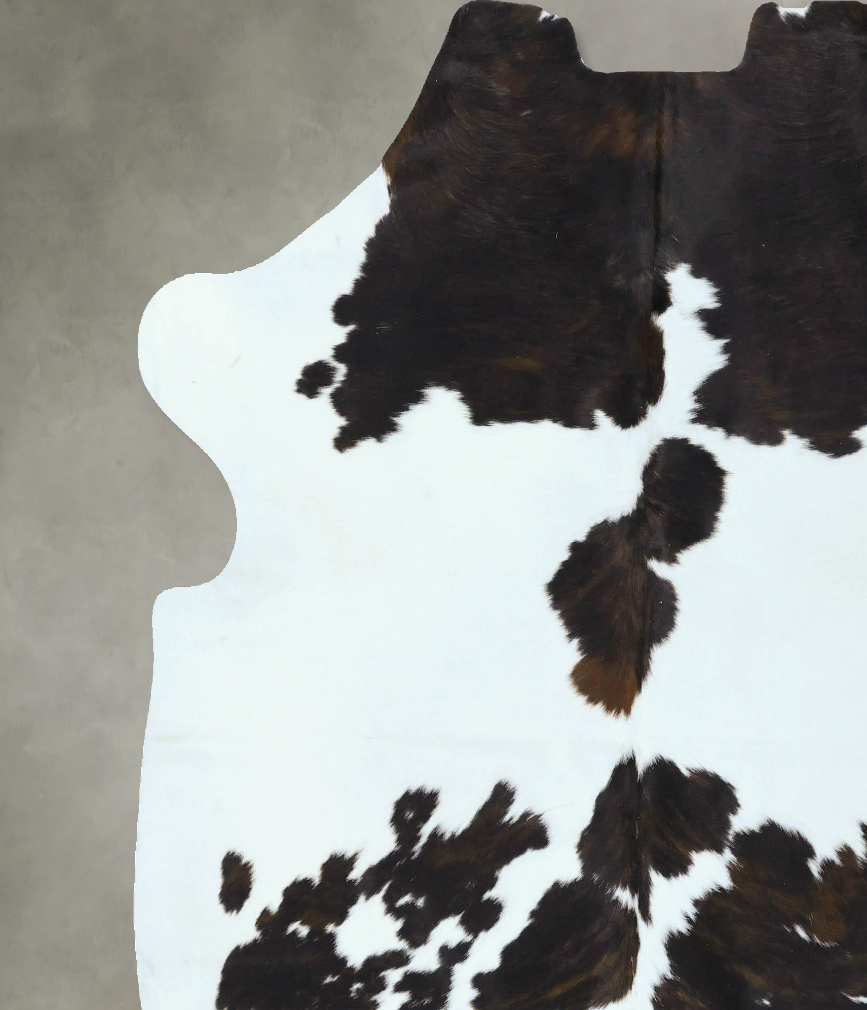Tricolor Cowhide Rug #B22813