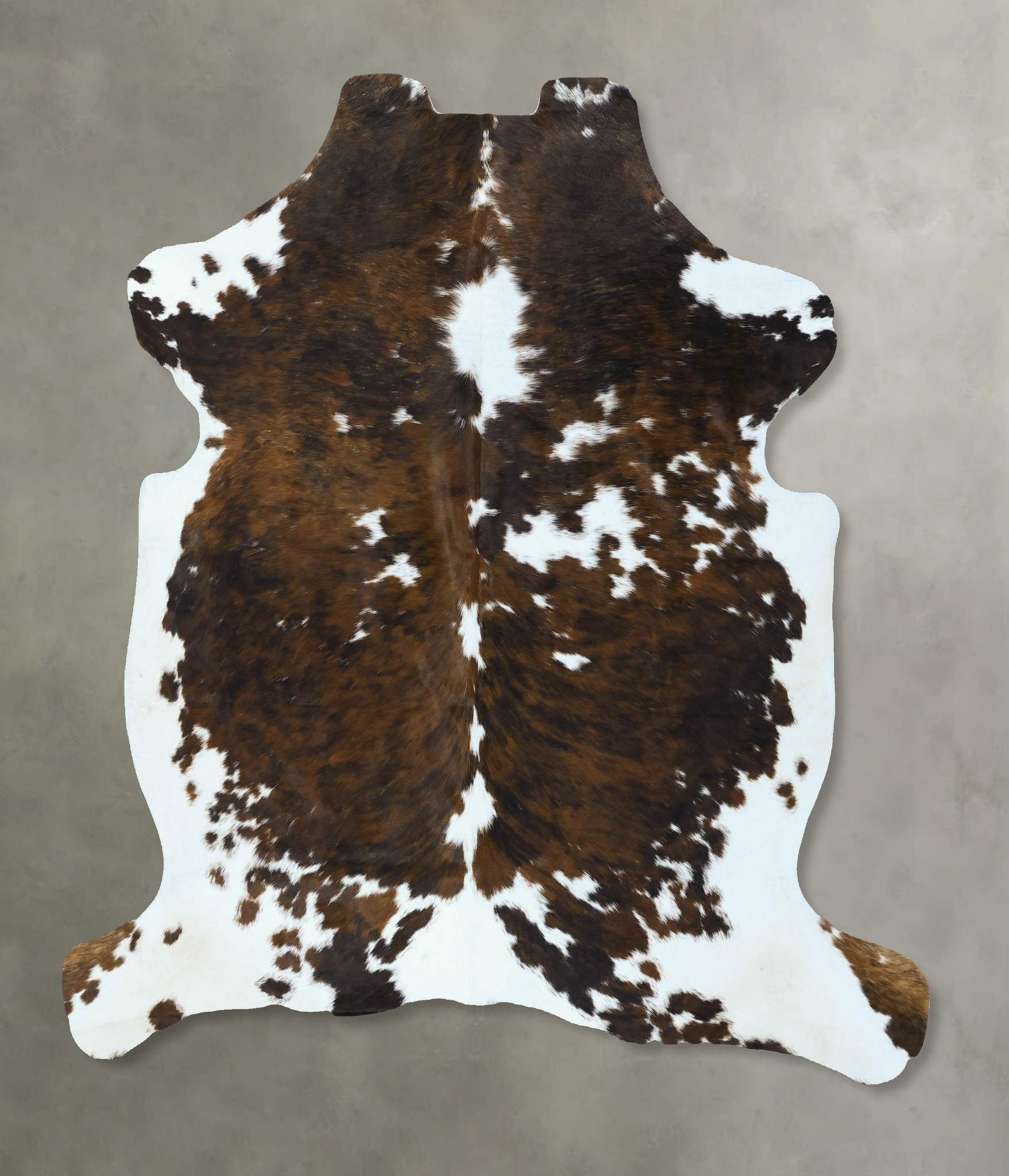 Tricolor Cowhide Rug #B22814