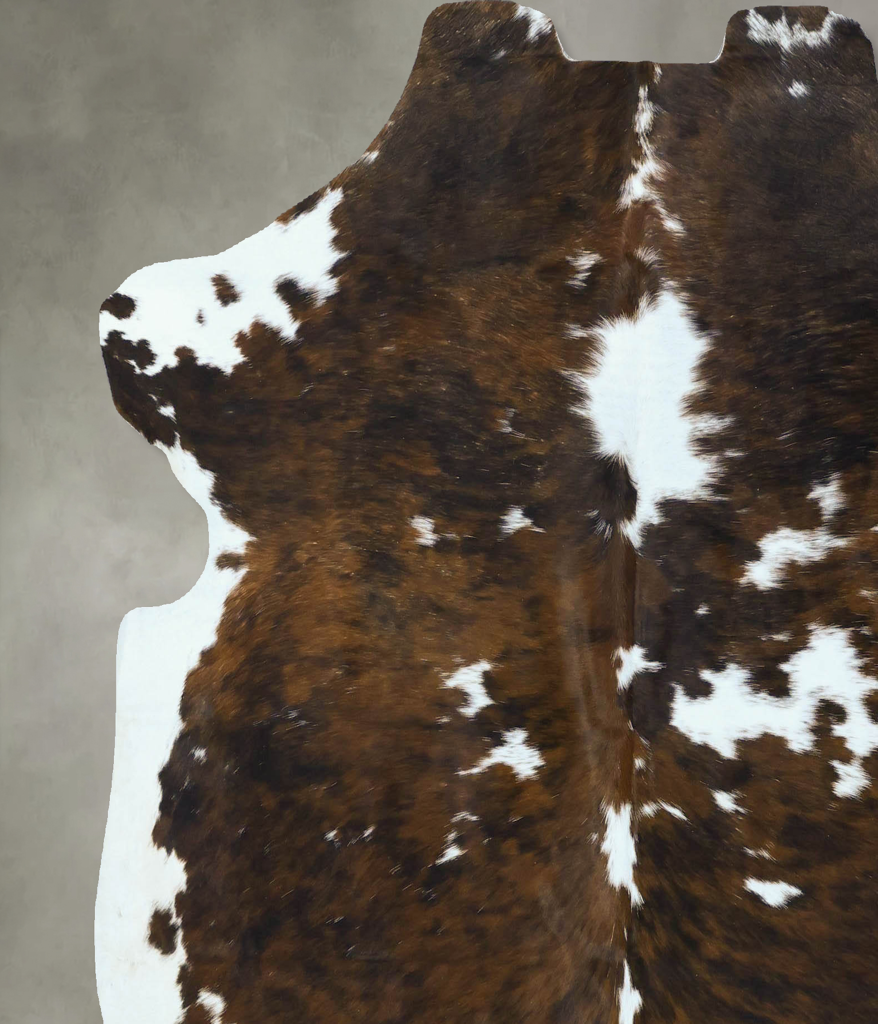 Tricolor Cowhide Rug #B22814