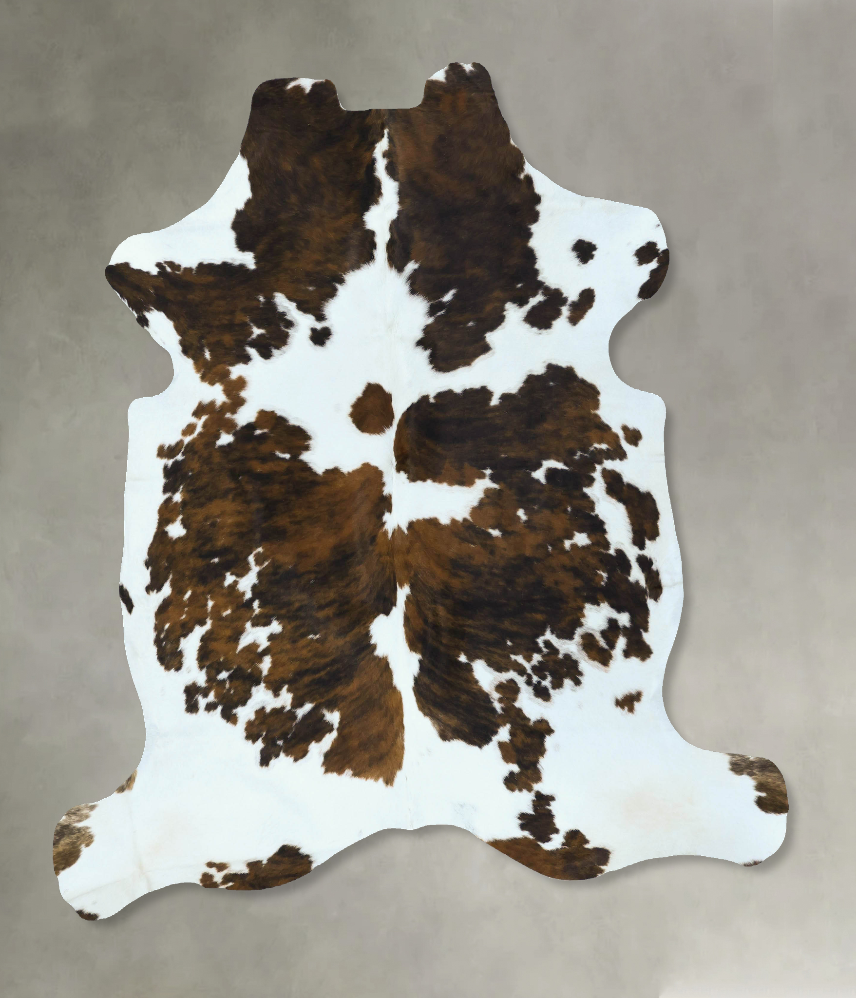 Tricolor Cowhide Rug #B22815
