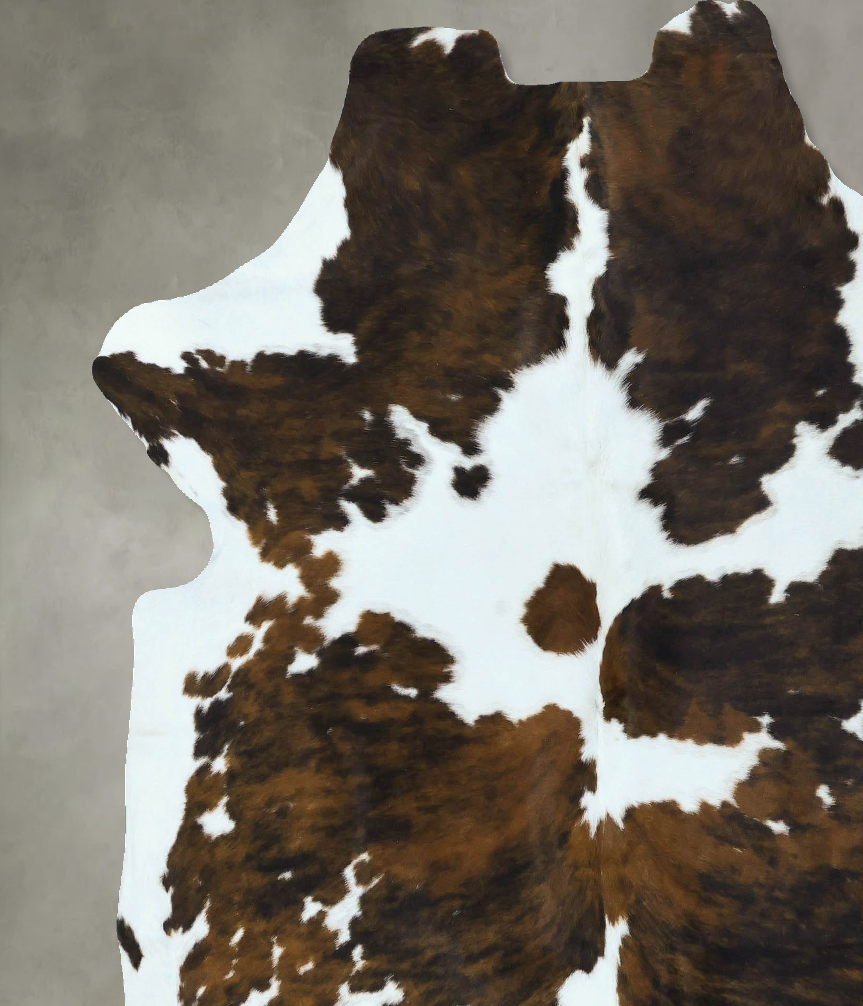 Tricolor Cowhide Rug #B22815